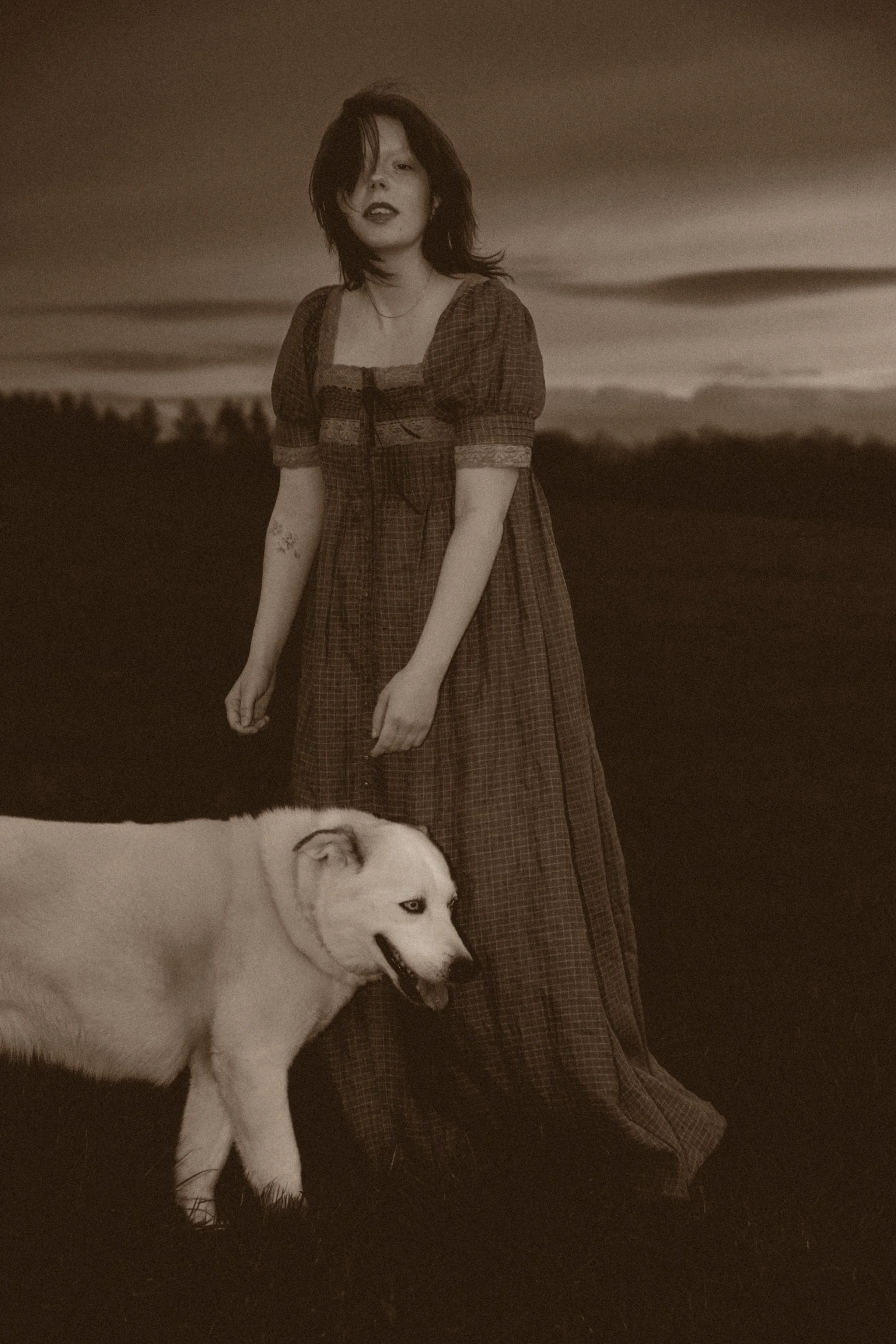 Majestic Royal With Dog Hound Princess Queen Long Brown Dress Moody Grey Black And White Sepia