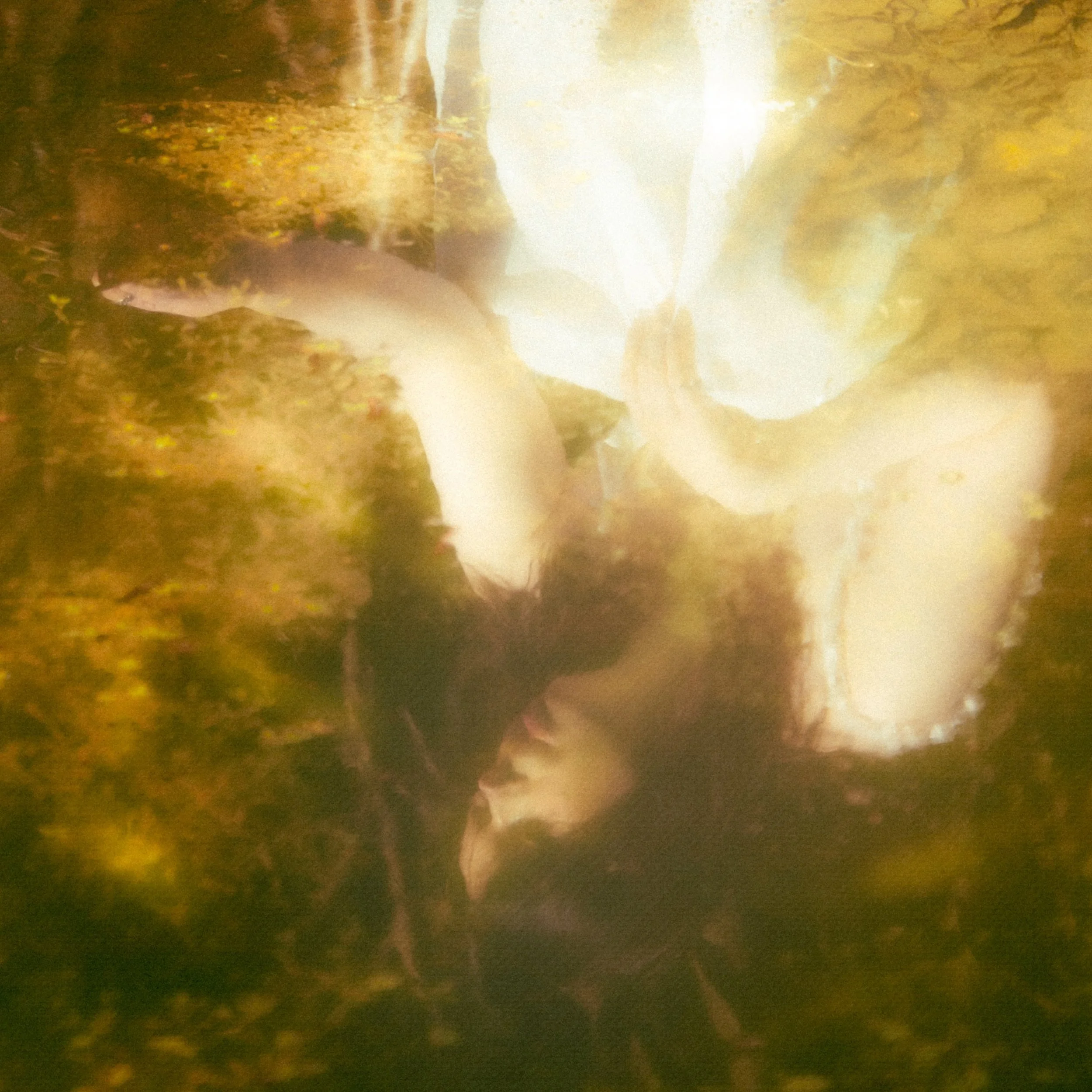 Forest Fae Faerie Fairy Mirrored In Still Lake Water Green Yellow Long Brown Hair Pale Wearing White Thin Lace Dress Touching Surface