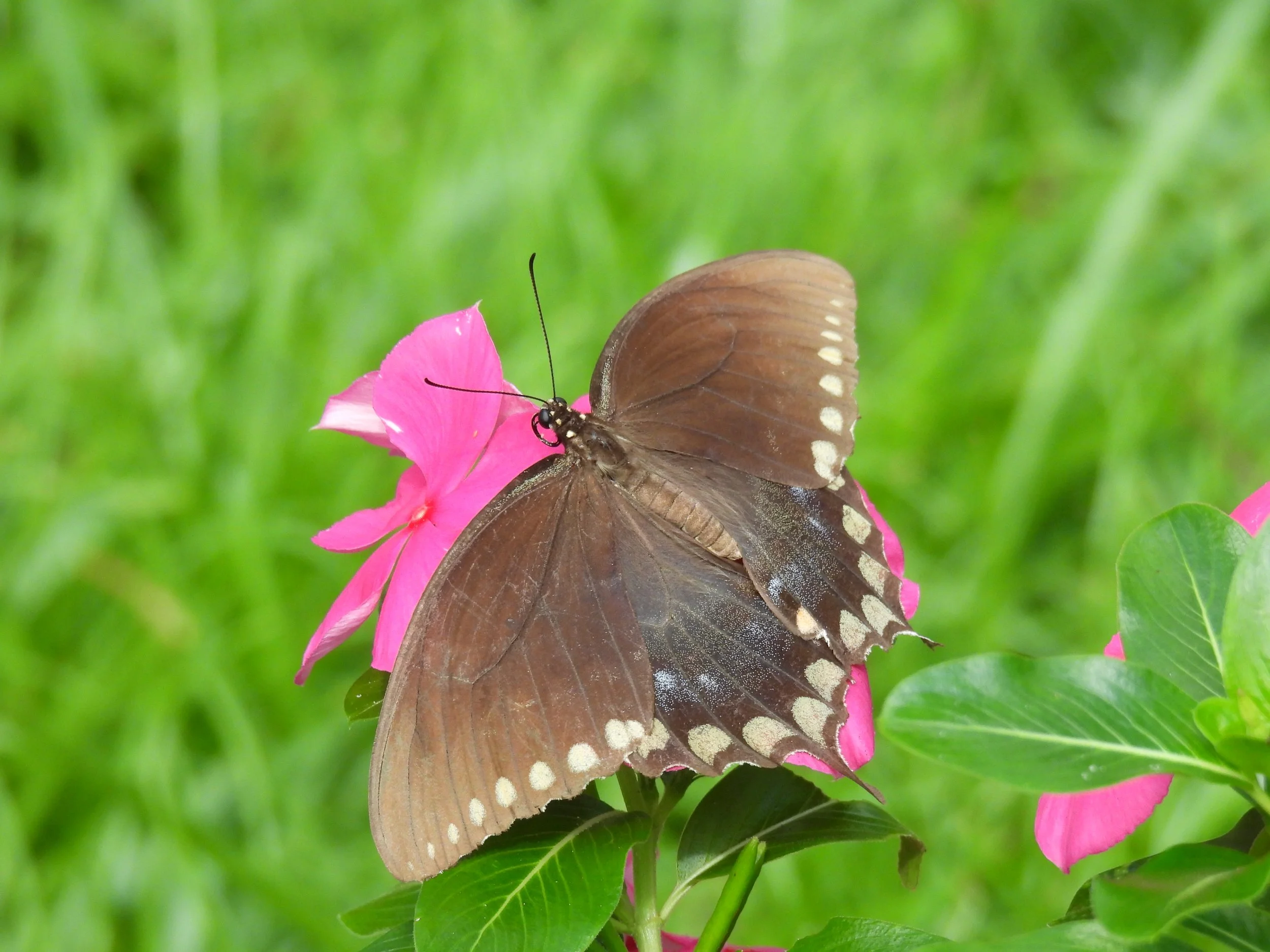 DSCN2390.JPG