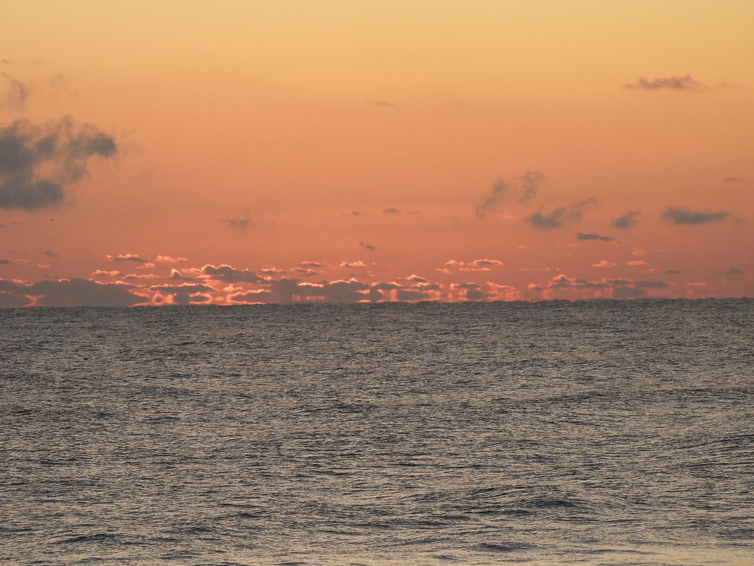 DSCN3639.JPG
