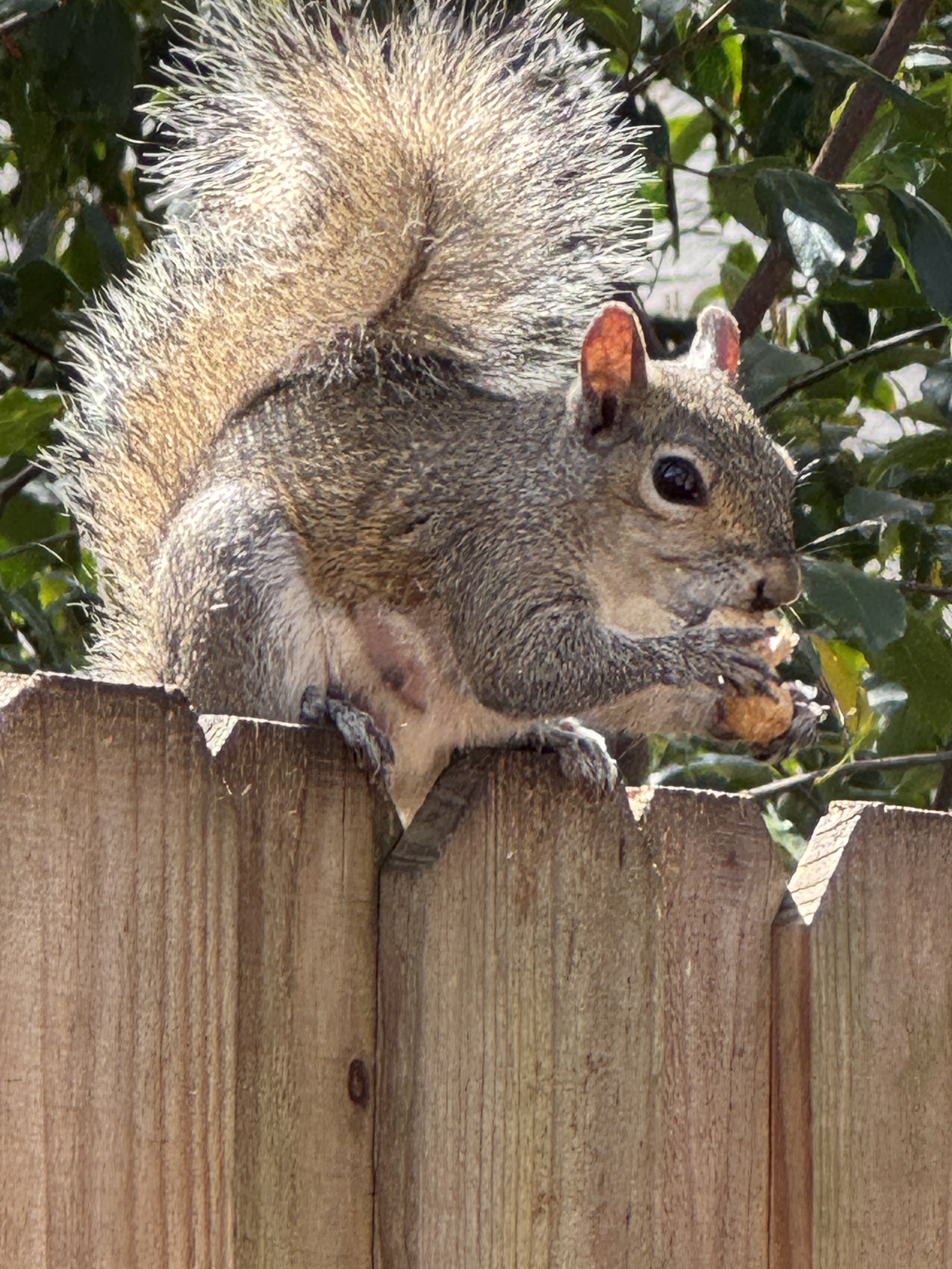 IMG_7496.JPG
