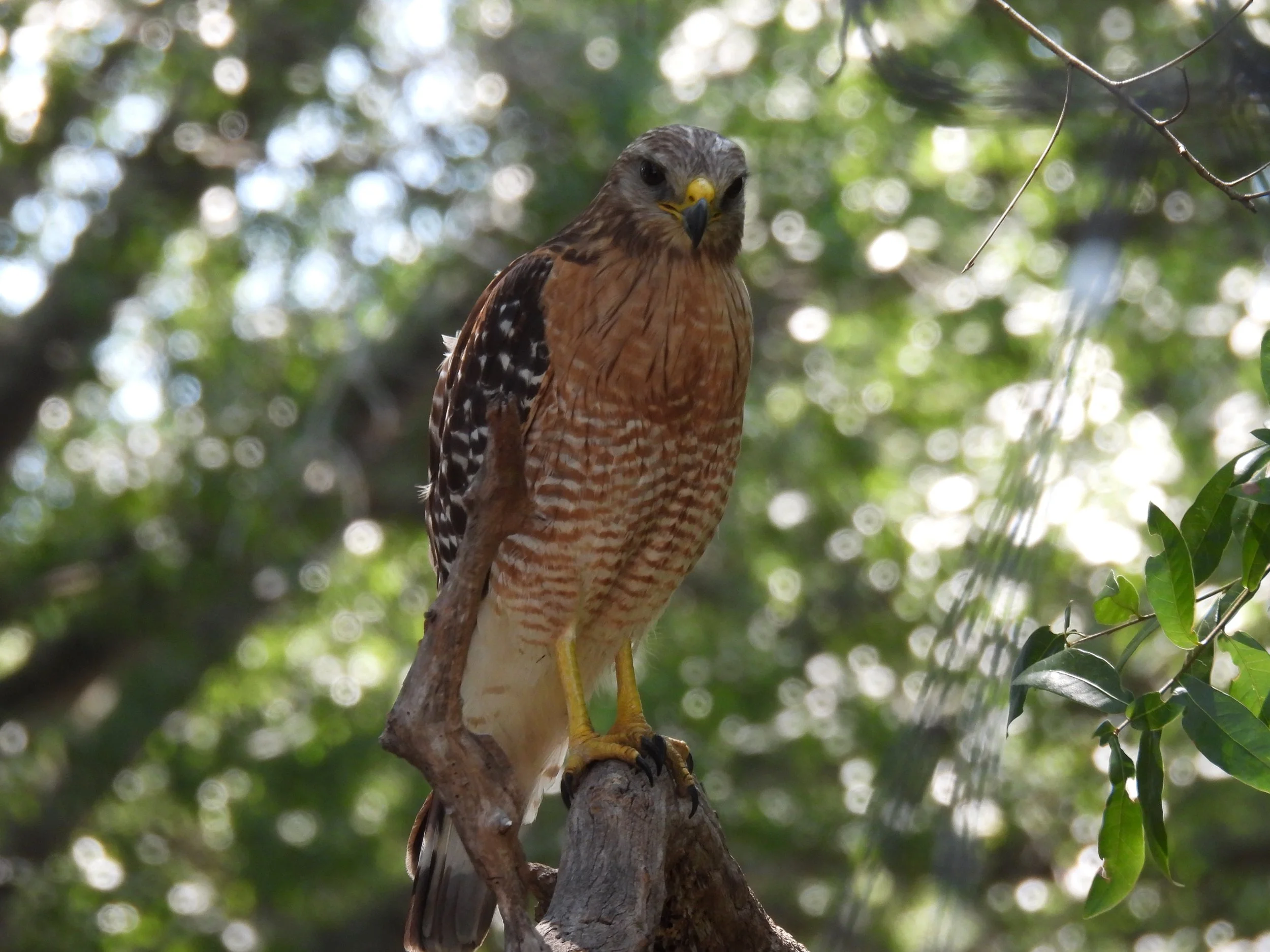 DSCN1434.JPG