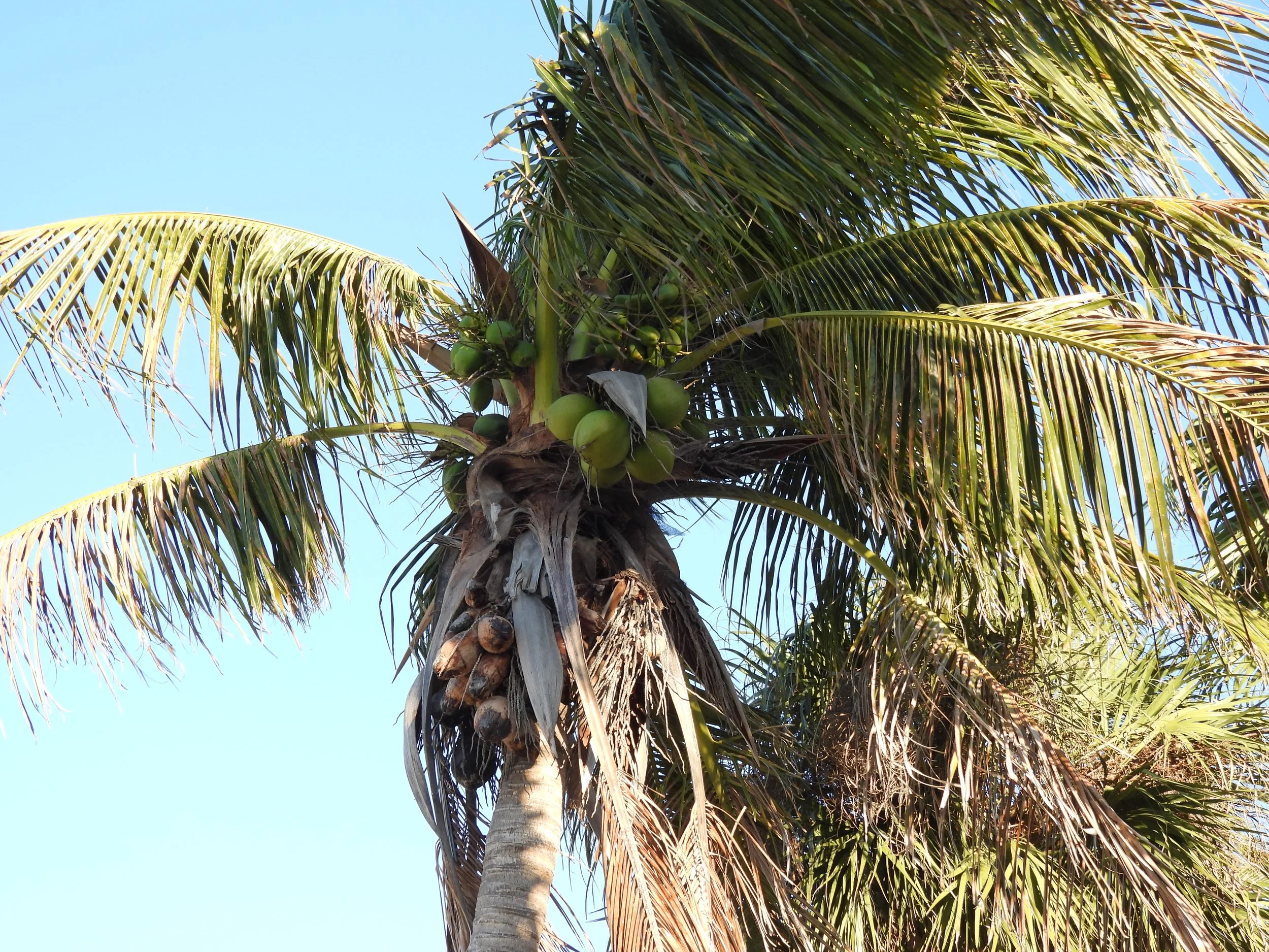 DSCN4826.JPG