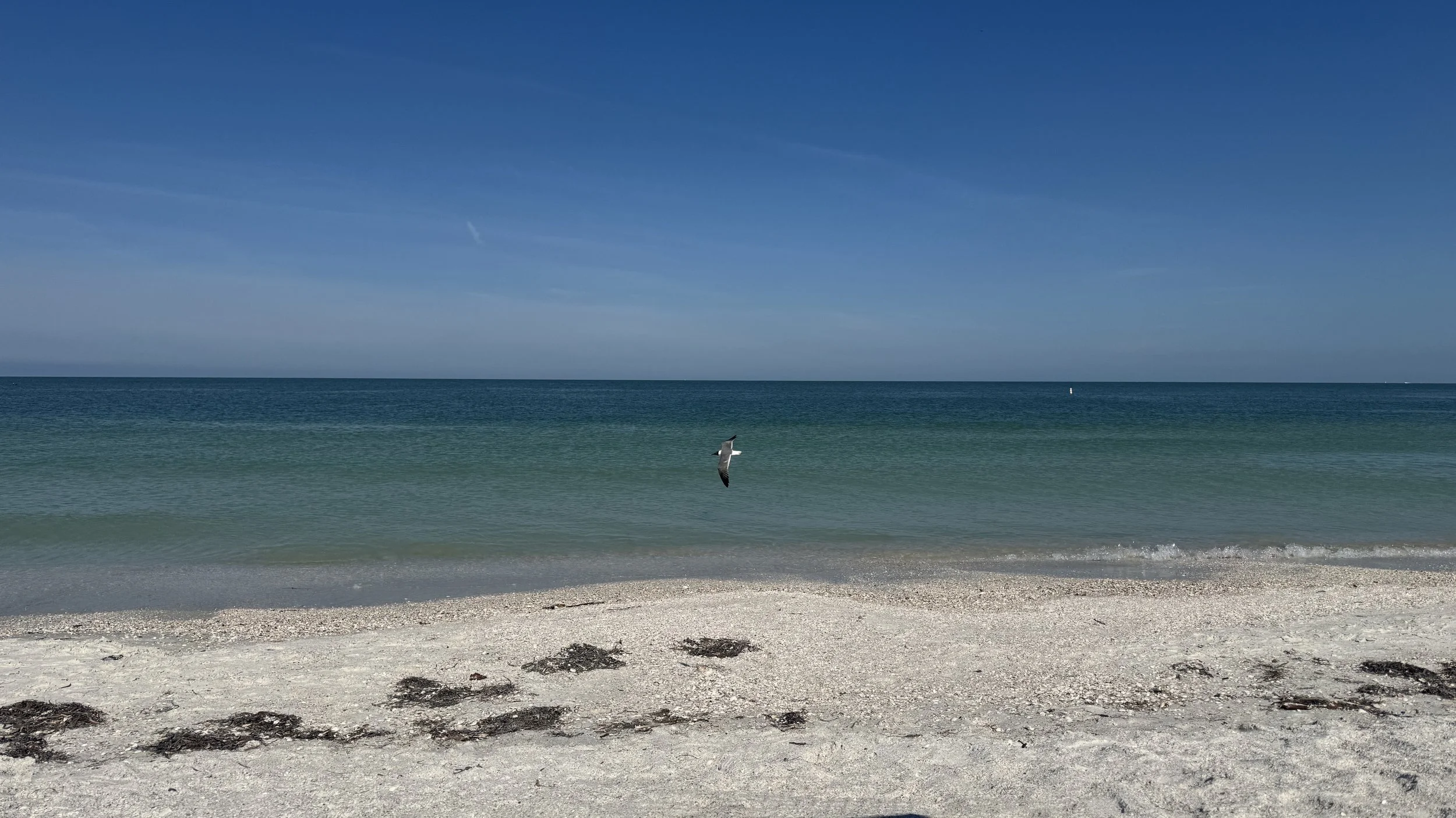 IMG_8640.JPG