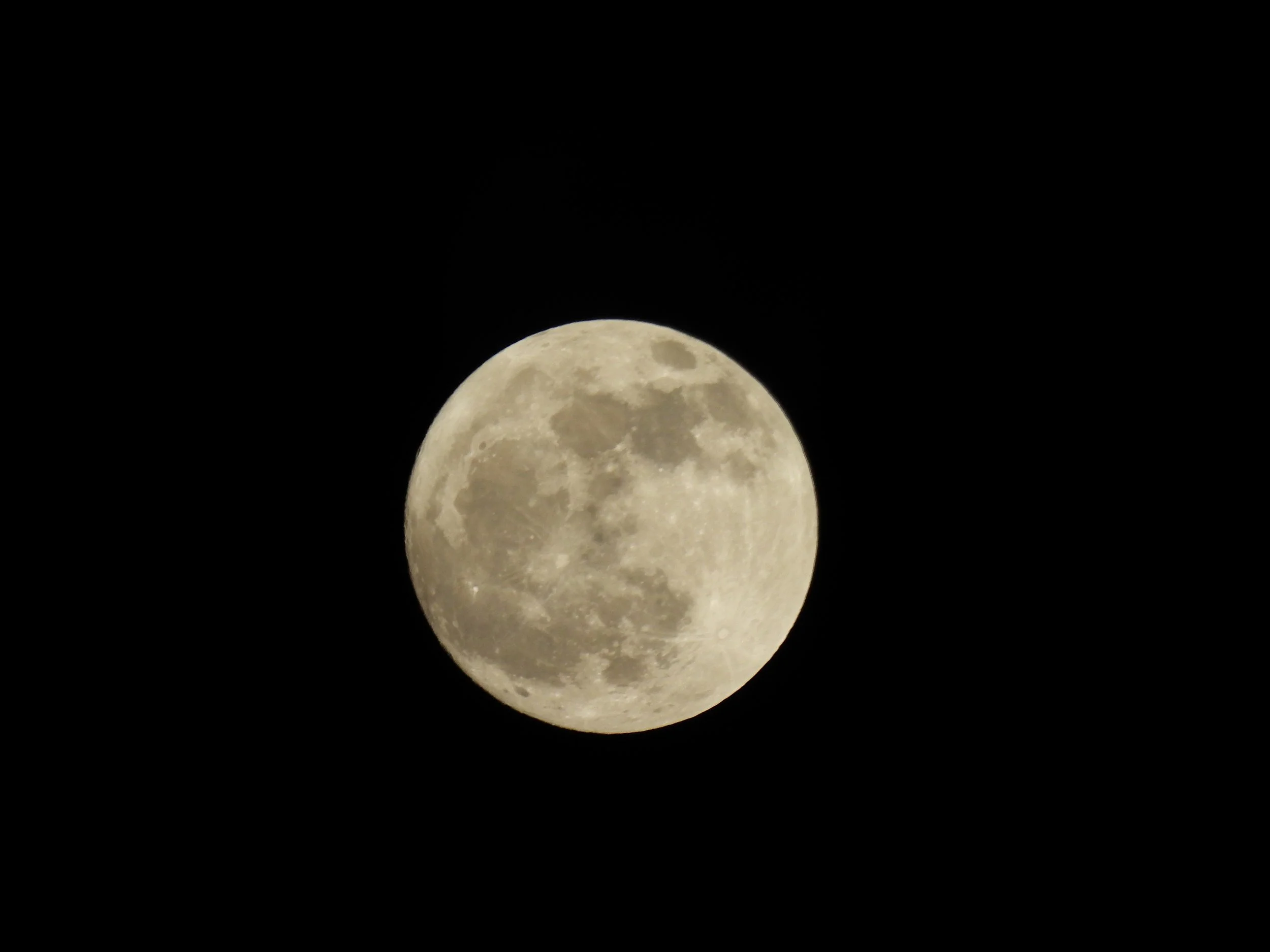 DSCN1269.JPG
