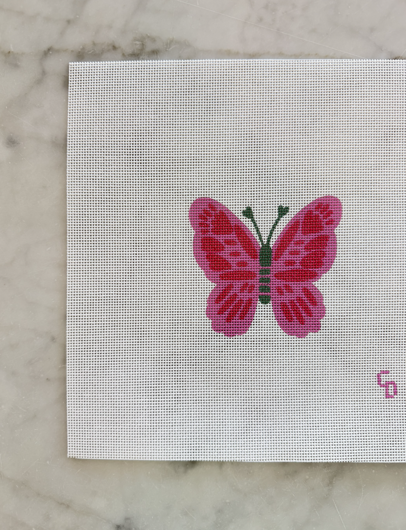 Pink Butterfly