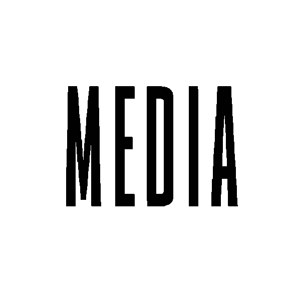 The Netflix logo in black text on a transparent background.