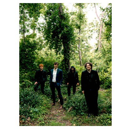 Four men walking through a dense, green forest.