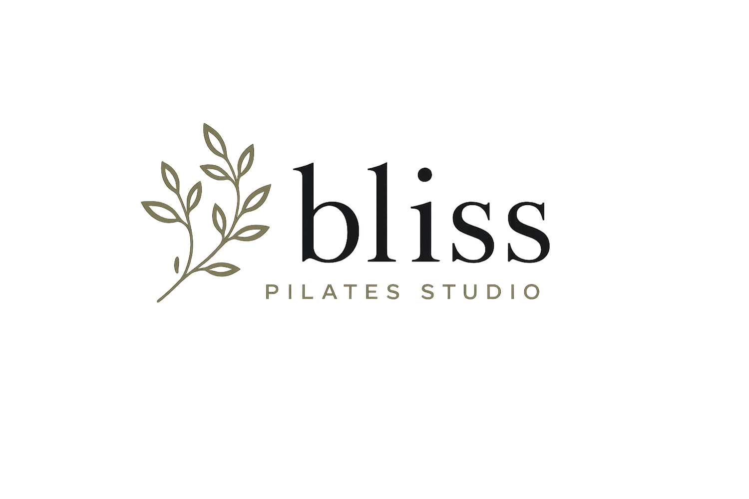 Bliss Pilates Studio
