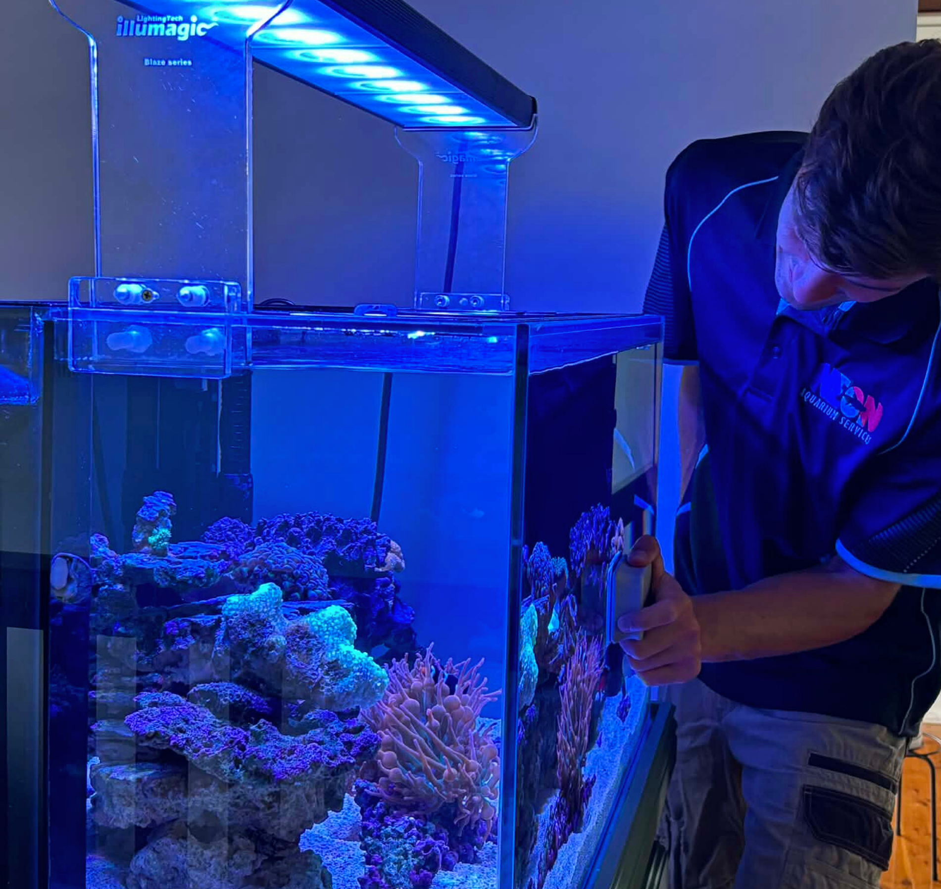 A man is looking at a blue-lit saltwater aquarium filled with colorful coral and marine life. The display case is made of glass with a blue lighting system shining on the coral.