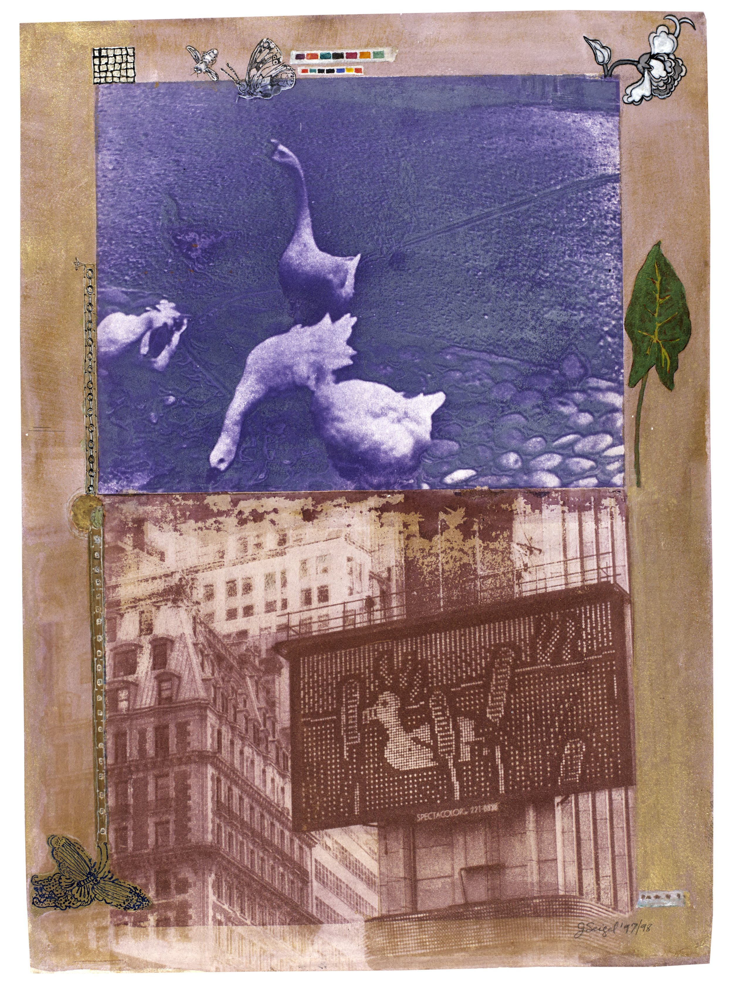 Geese, 1998