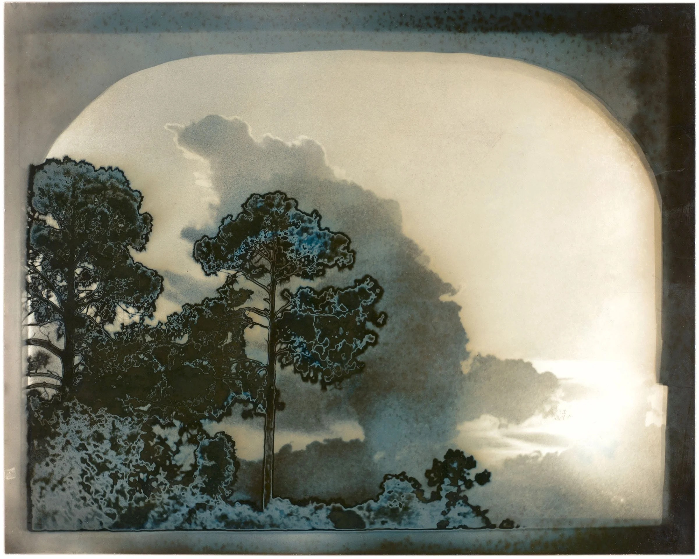 Untitled (Trees and Clouds), 1987