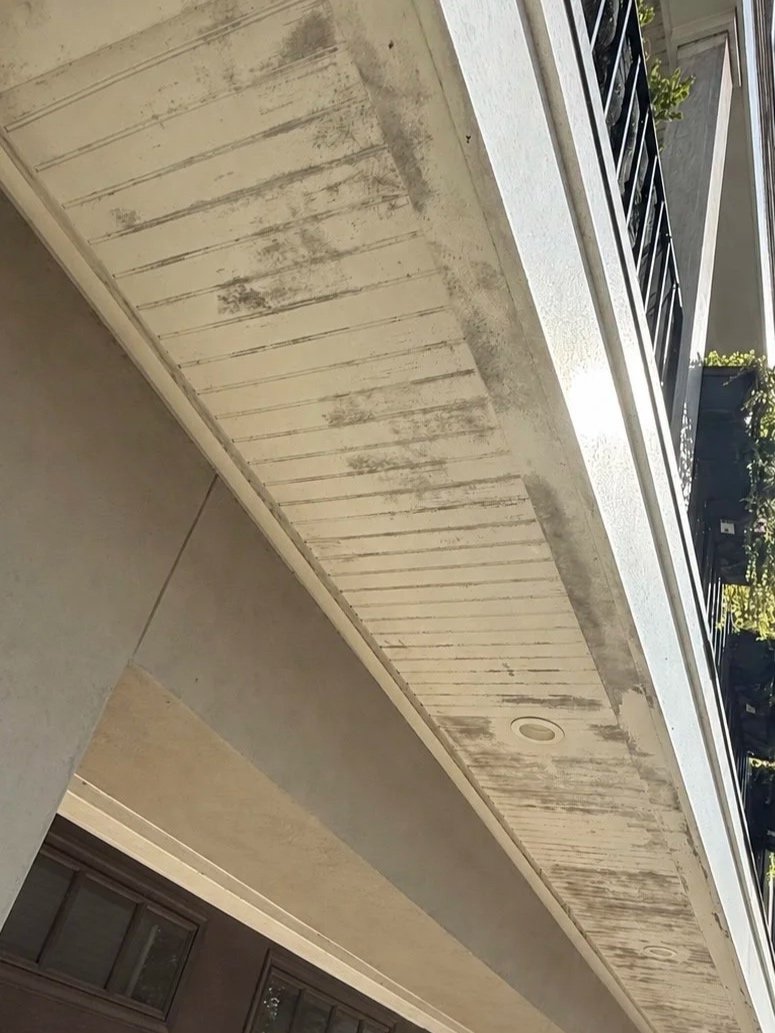 Close-up of a concrete balcony ceiling with visible mold and dirt stains.