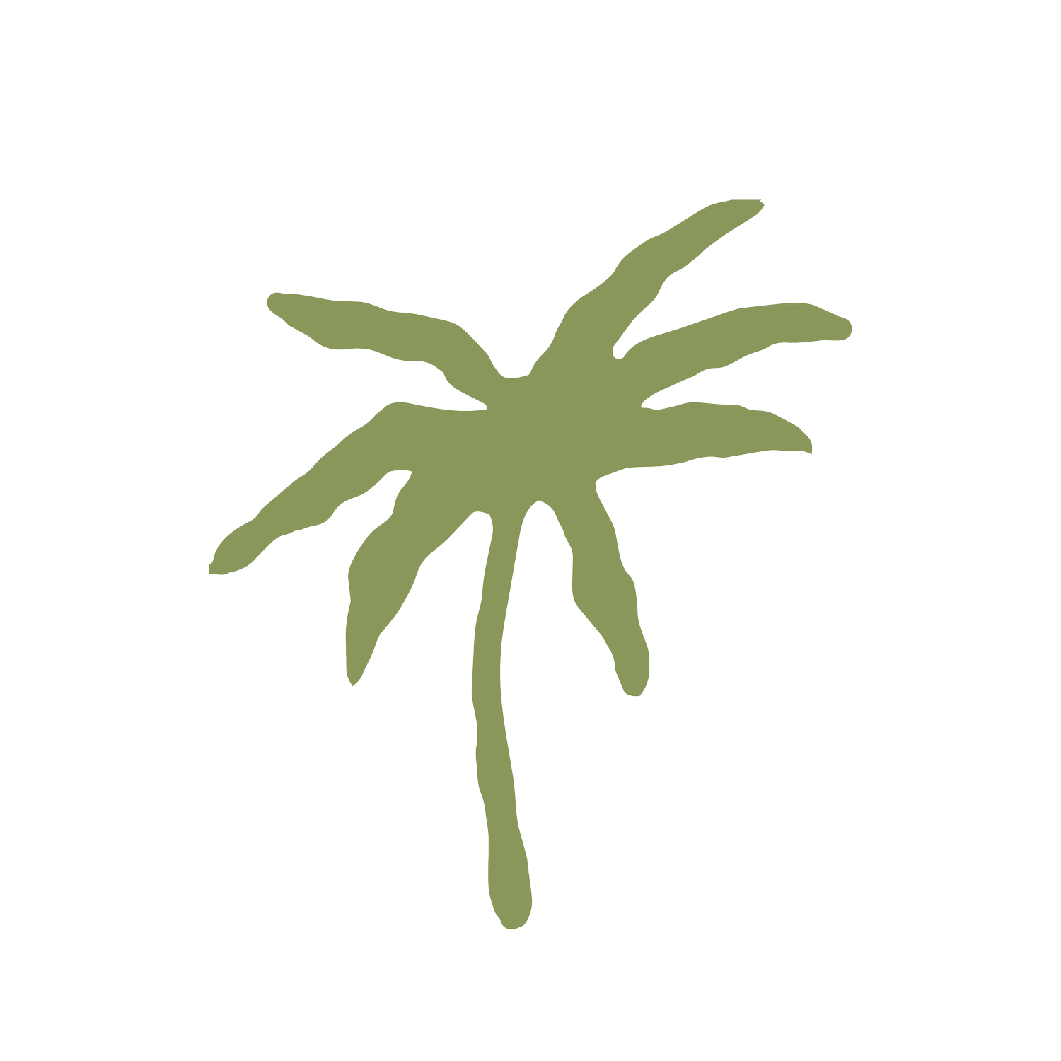PALMS CARDS