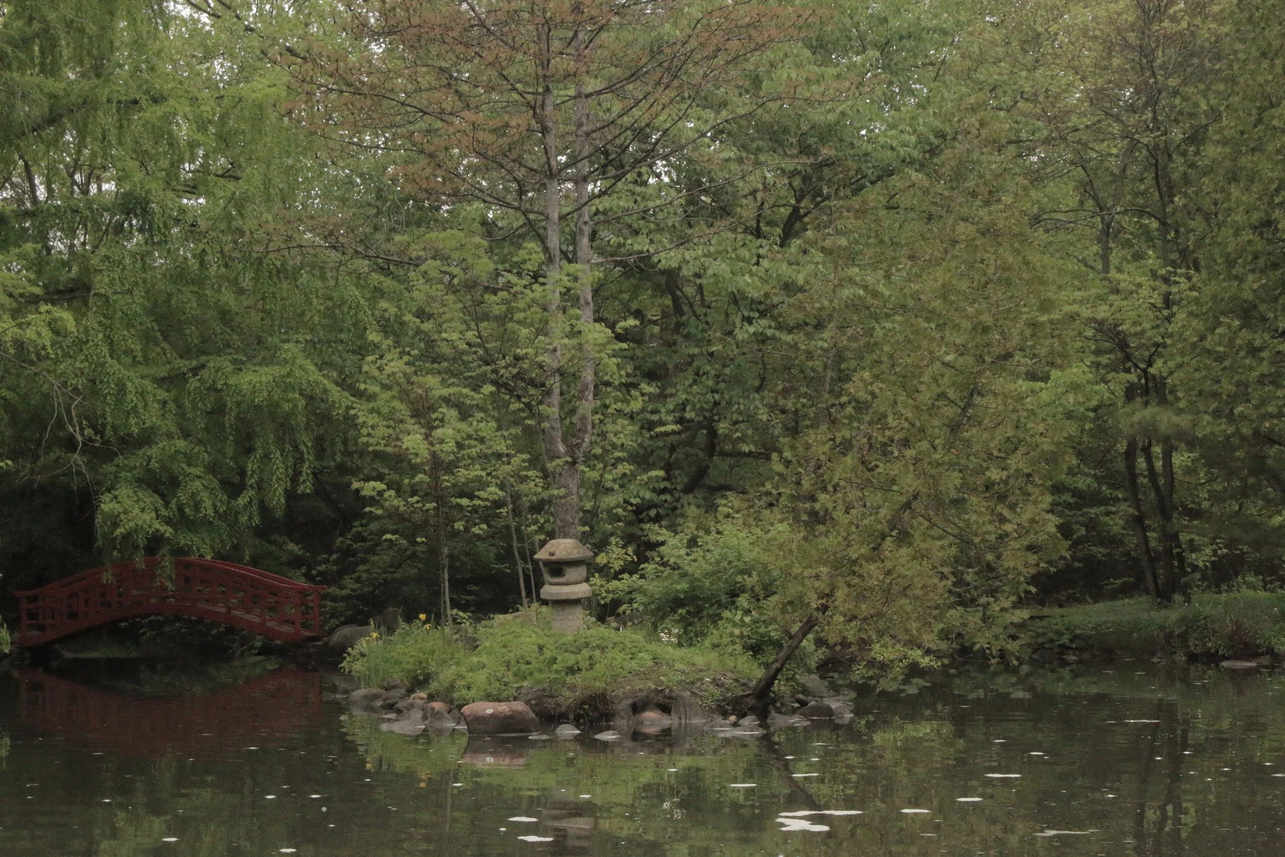 A peaceful garden with a small wooden bridge over a pond, surrounded by lush green trees and plants. There is a stone lantern near the pond and rocks scattered along the water's edge.