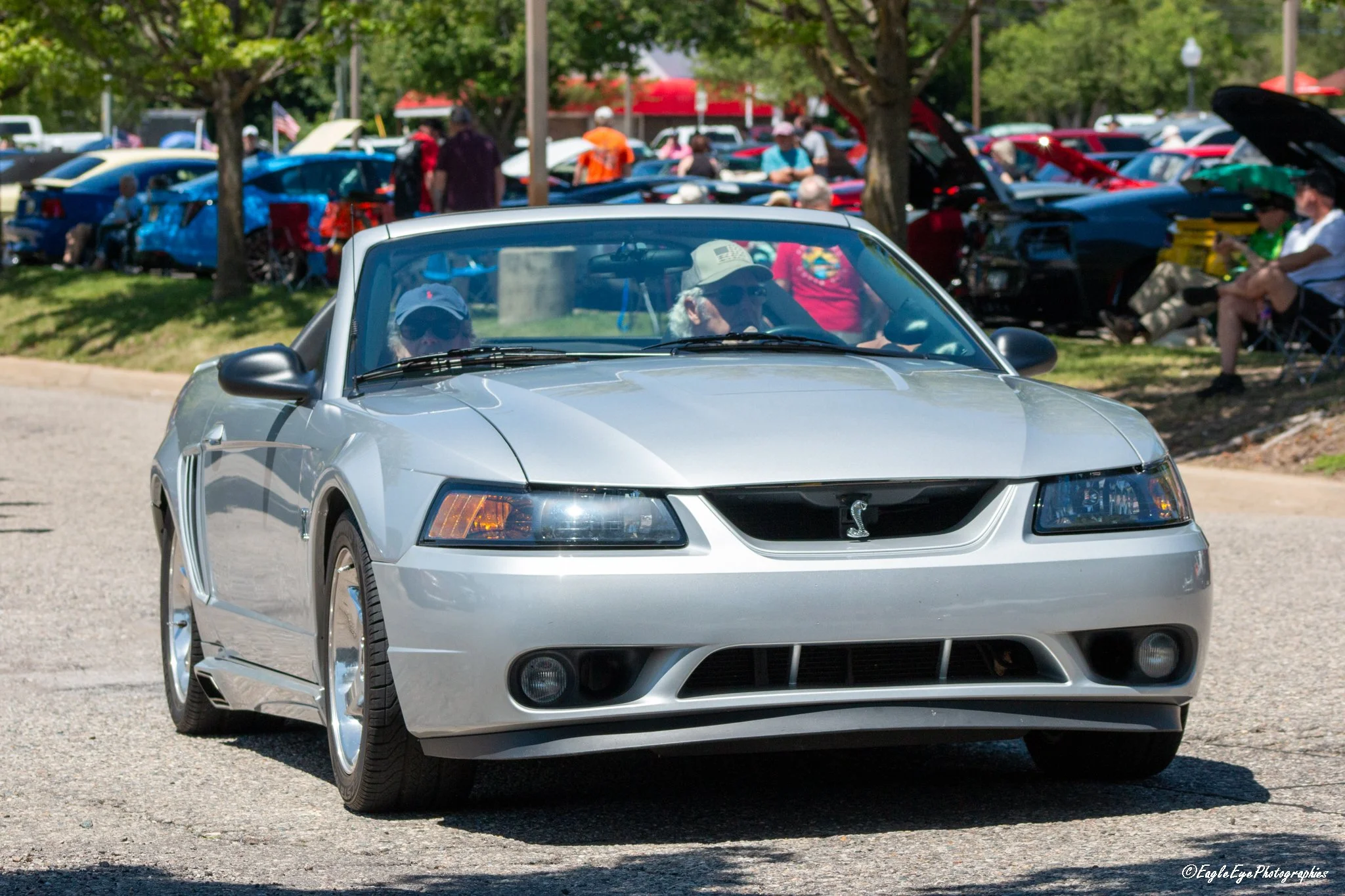 A silver Ford Mustang Shelby car driving in a parade with a crowd of spectators, some sitting in chairs and some walking, and a line of cars with open hoods behind the crowd, on a sunny day with trees and flags in the background.