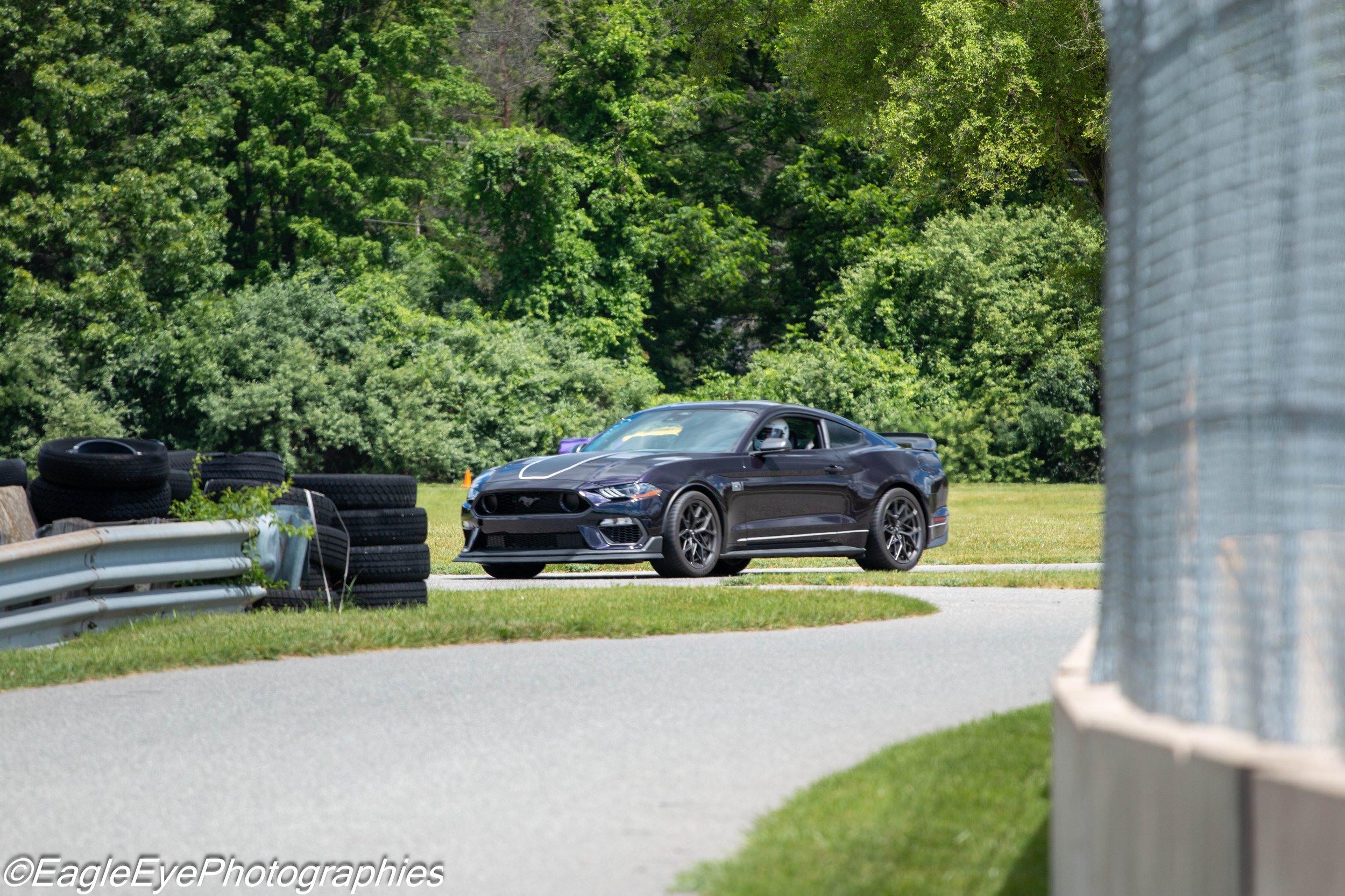 A black sports car parked on a grassy area near a racing track, with trees and a chain-link fence in the background.