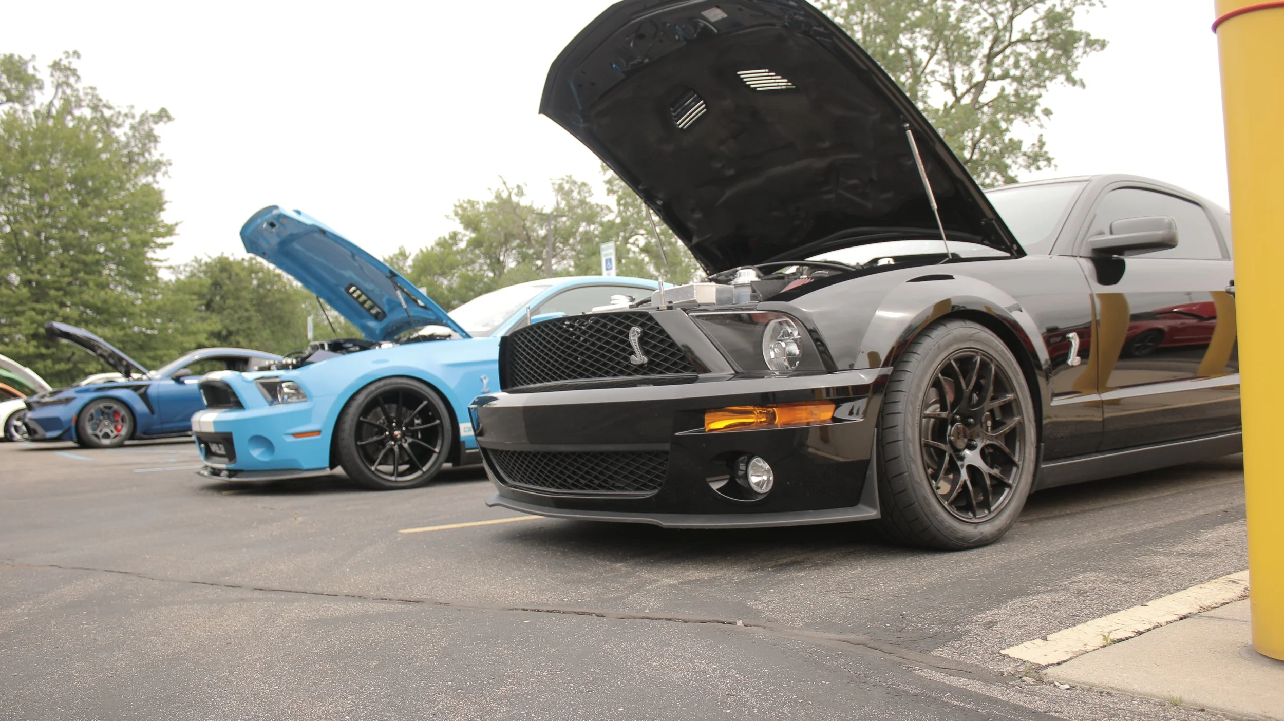 Line of sports cars with hoods open at a car show in a parking lot, trees in the background.