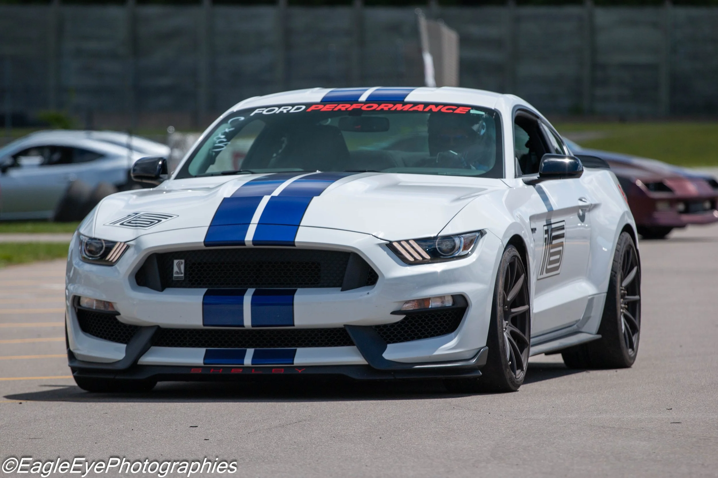 A white Ford Mustang Shelby GT350 with blue racing stripes on the hood, windshield, and front bumper, parked on a track with other cars in the background.