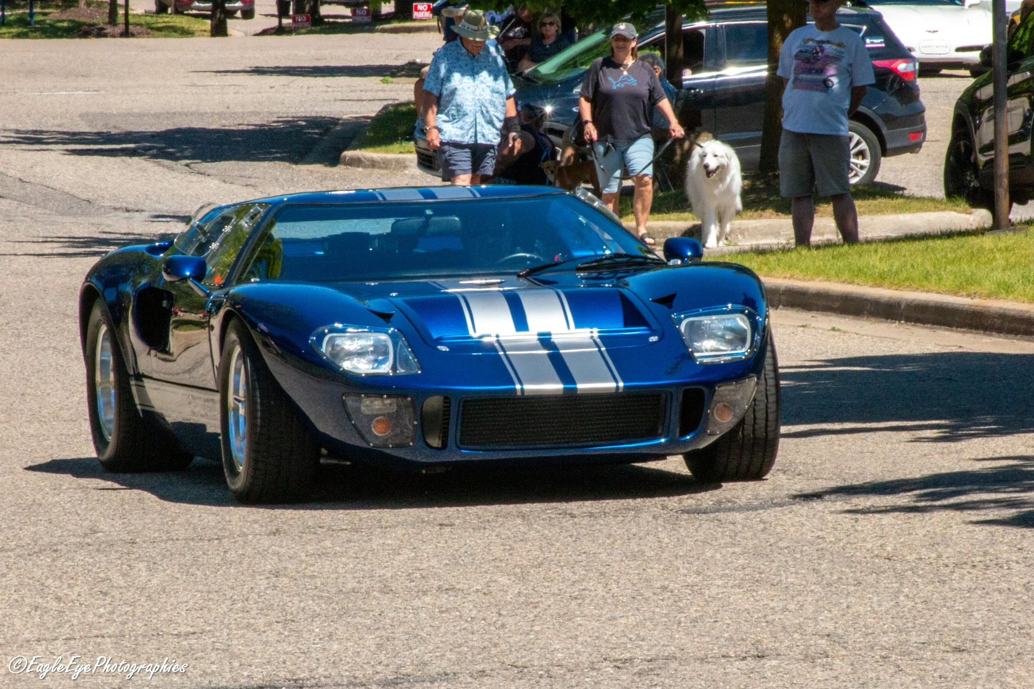 A blue sports car with white racing stripes on the hood and roof is driving on a parking lot. In the background, there are people gathered, some with dogs, and several parked cars. The scene is sunny with trees providing some shade.