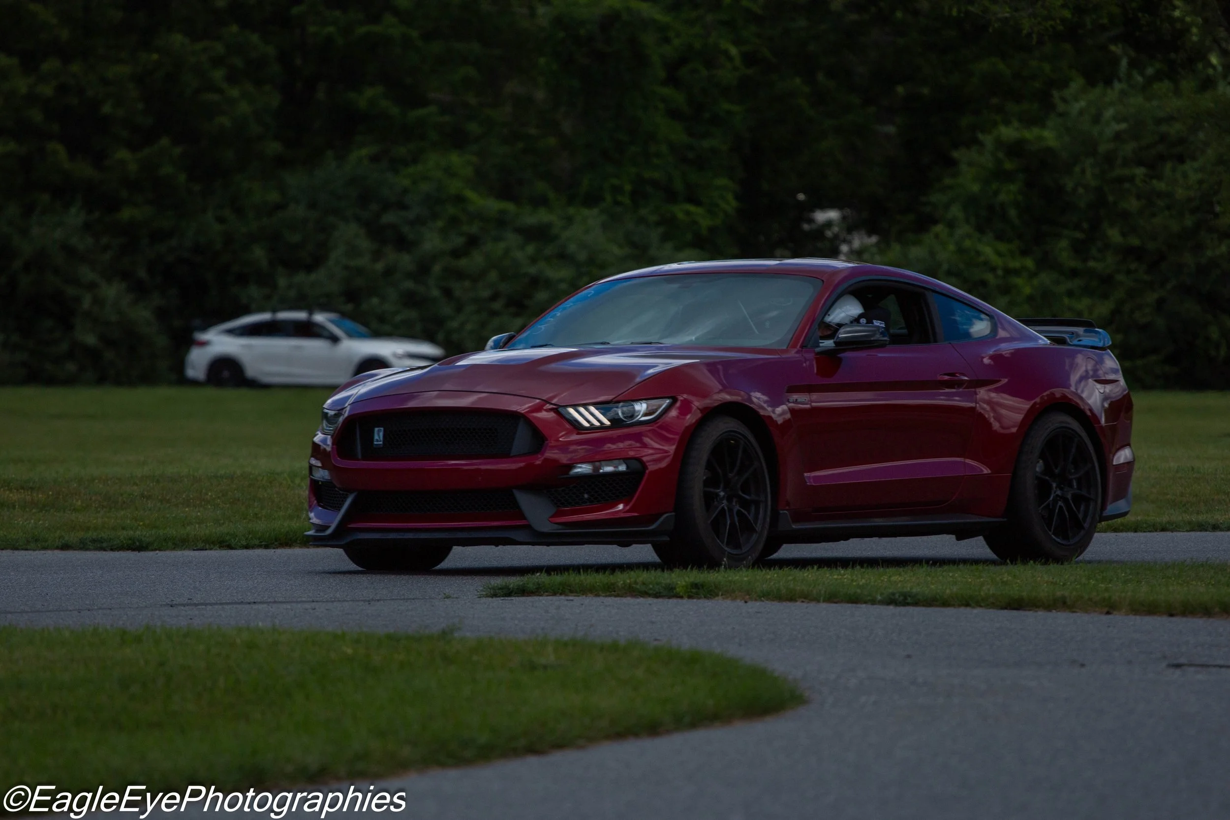 A red sports car, possibly a Ford Mustang, parked on a grassy area with a dark green hedge in the background. A white vehicle is partially visible in the distance.