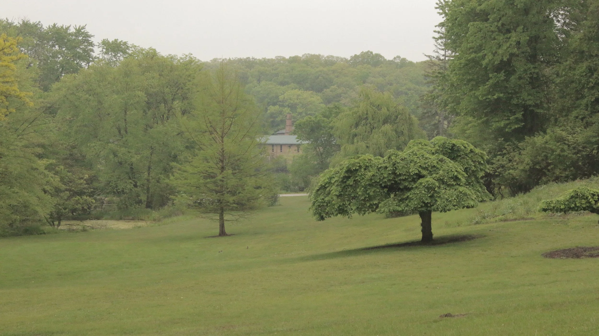 A lush green park with various trees and a house partially visible in the background, overcast sky.