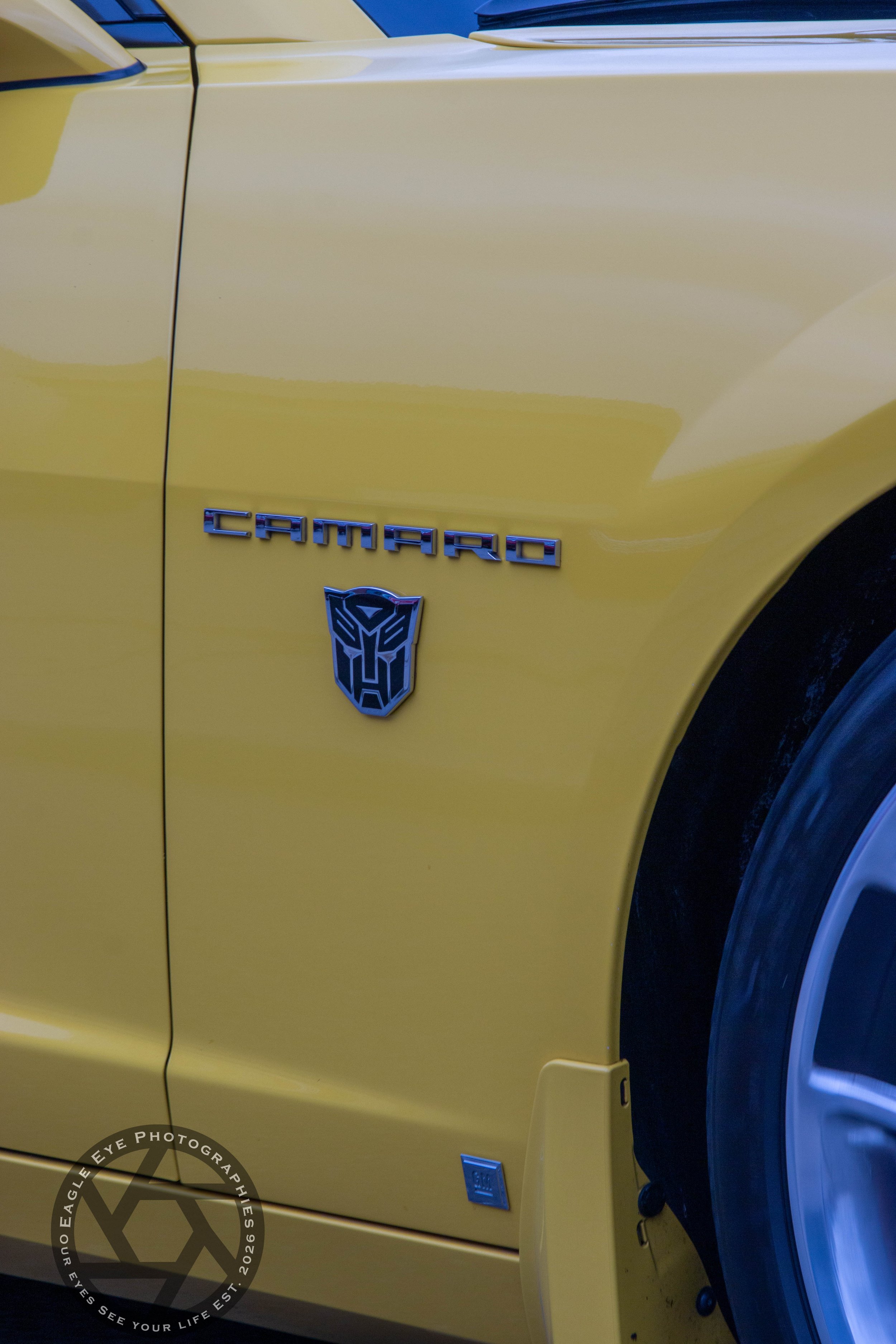 Woodward Dream Cruise-38.jpg