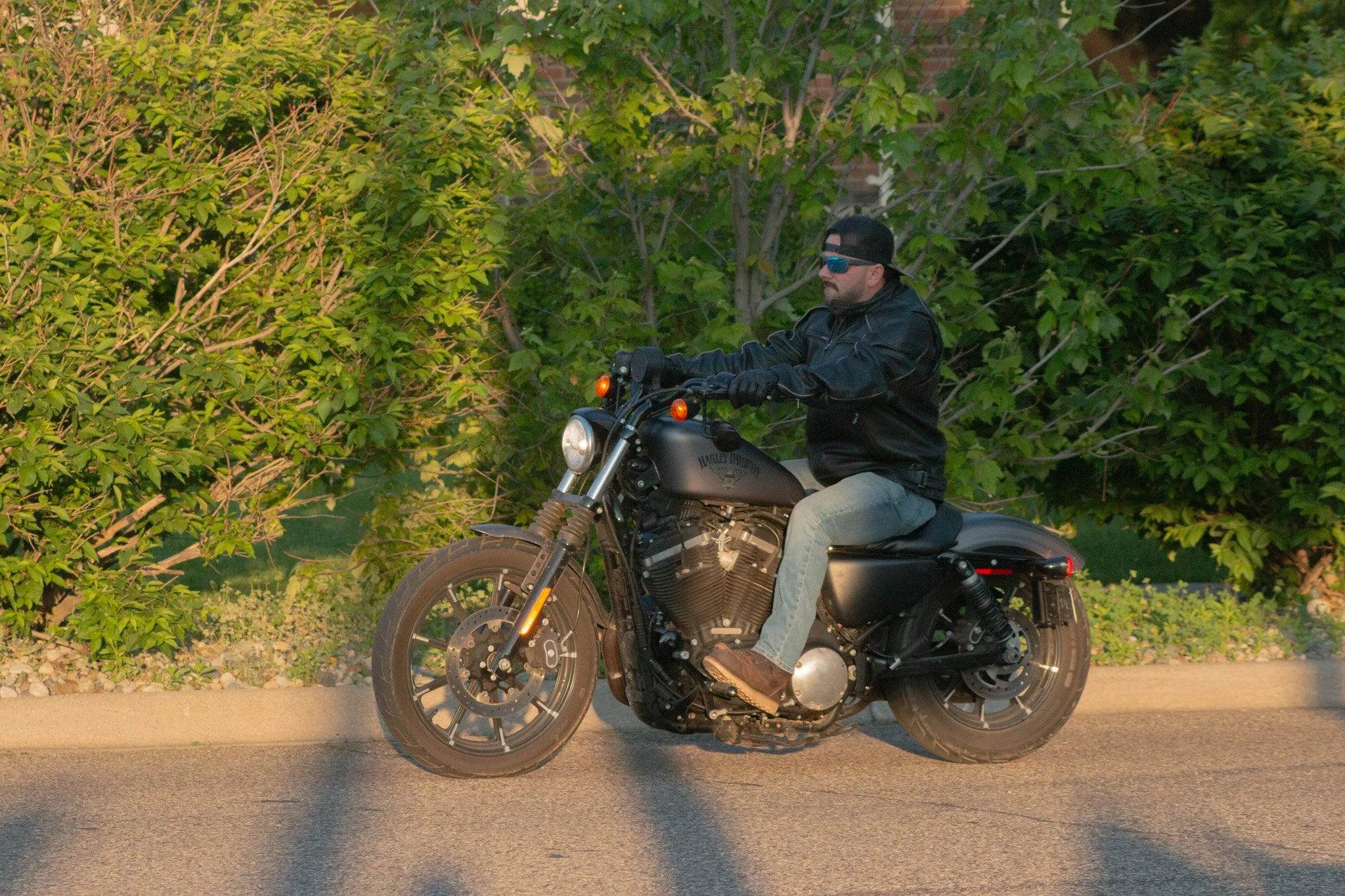 A man riding a black Harley Davidson motorcycle on a road, wearing sunglasses, a black leather jacket, light jeans, and a black cap, with greenery bushes in the background.