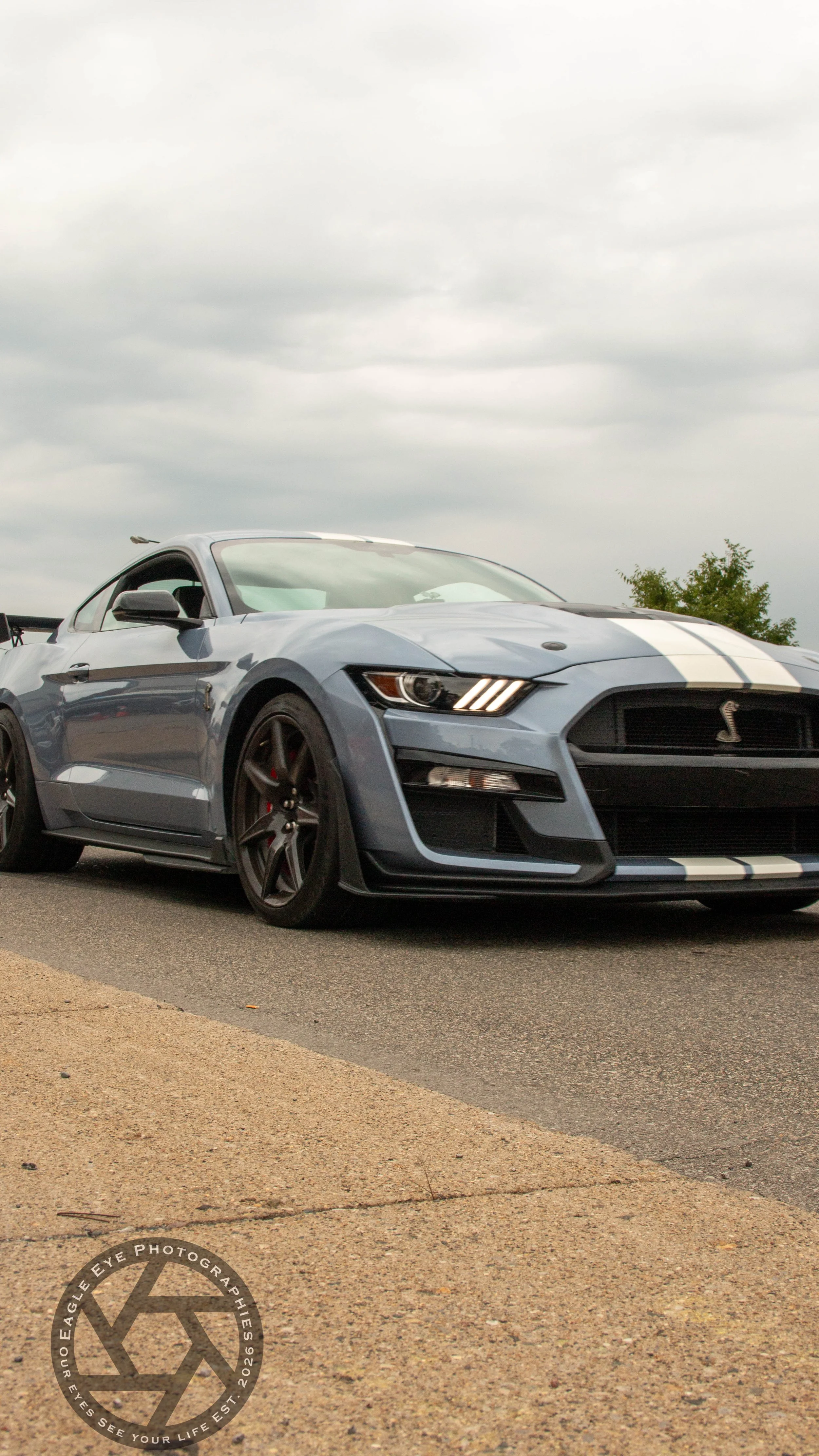 Woodward Dream Cruise-19.jpg