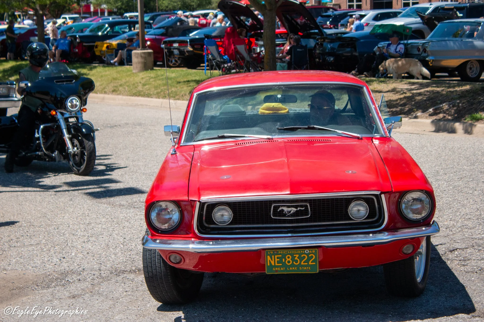A red vintage Ford Mustang with a Michigan license plate NE-8322 parked at a car show. The background shows numerous classic and modern cars, people sitting and walking, and some tents and chairs at the event.