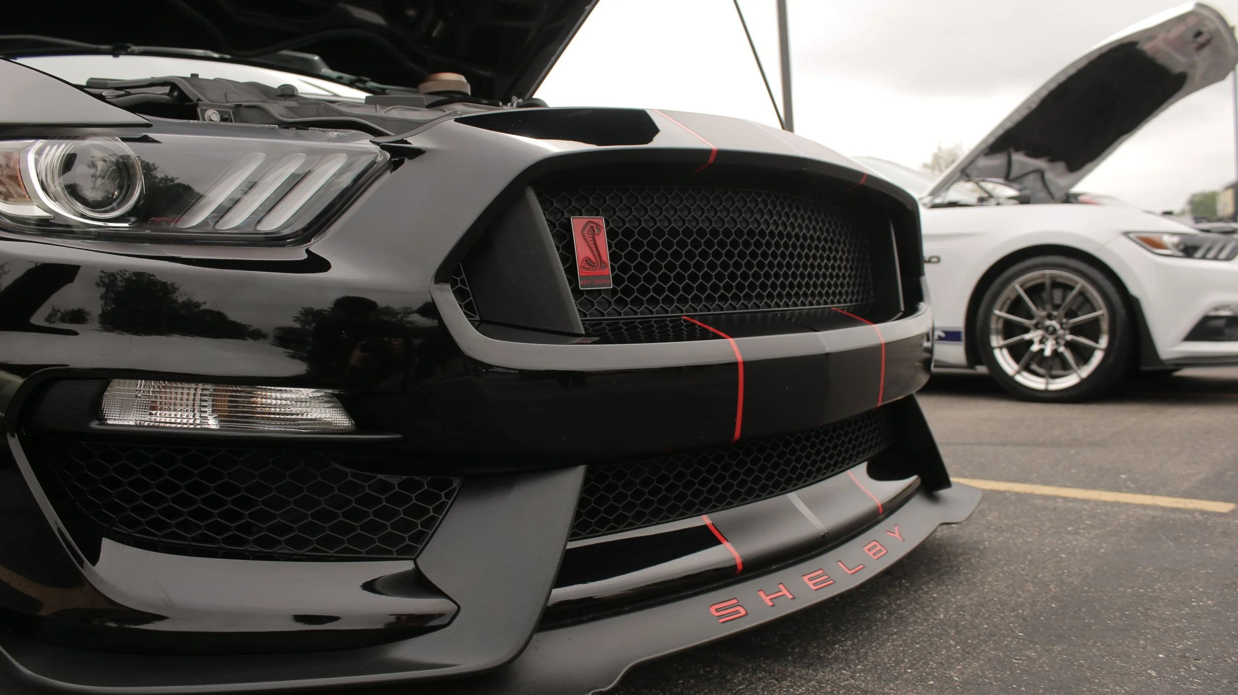 Close-up of a black sports car's front with red accents and a Shelby badge, parked under a cloudy sky. A white car is visible in the background with its hood open.