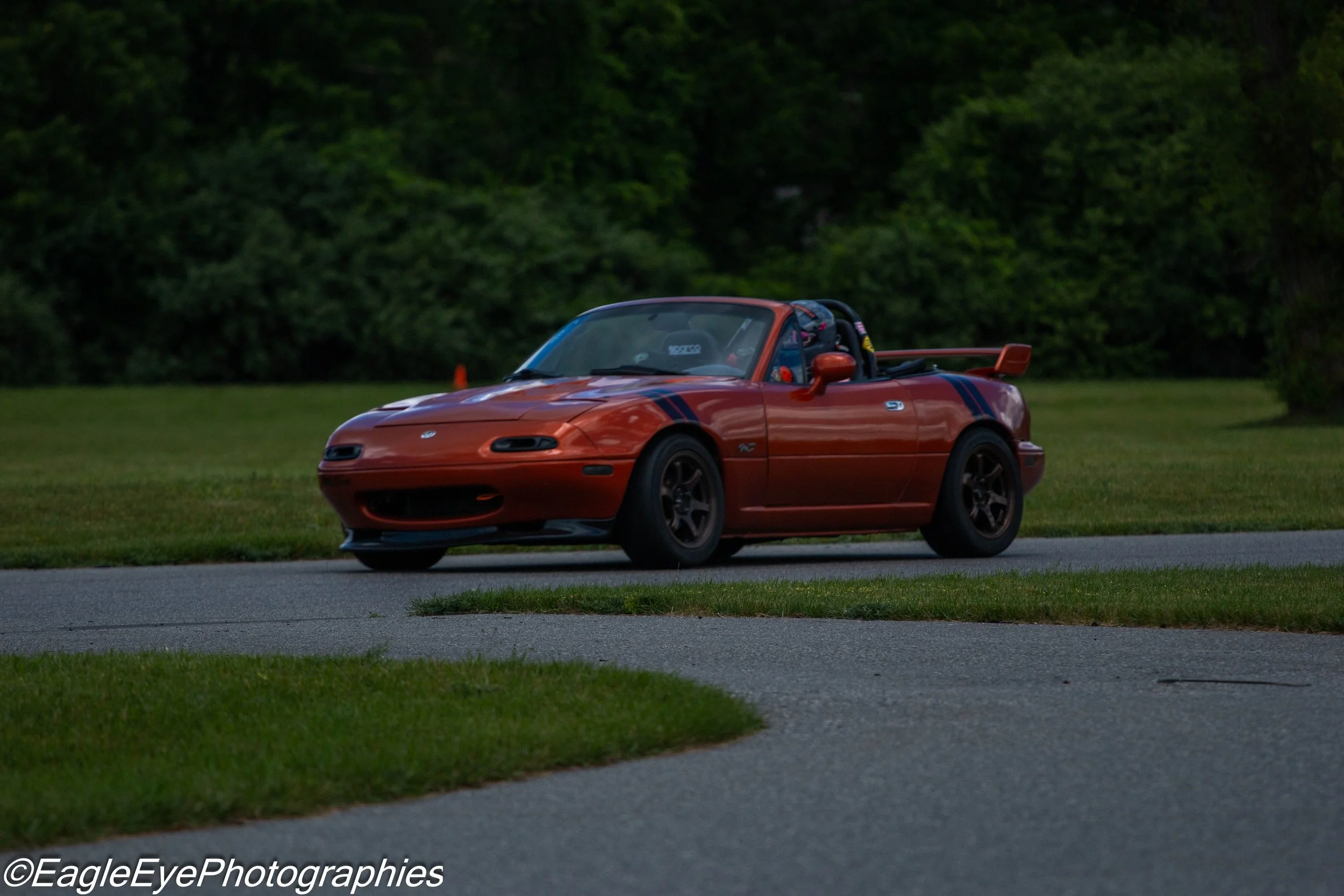 Red sports car with black and blue racing stripes parked on grass near trees in a park or natural area.