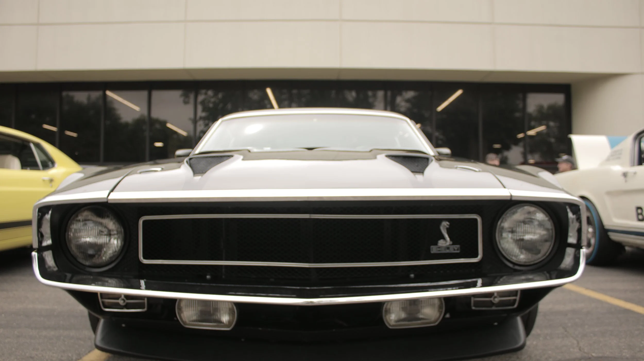 Front view of a black and white vintage Shelby Cobra car with a Ford Shelby emblem, parked in front of a building with glass windows. A yellow car and a white car are partially visible on either side.
