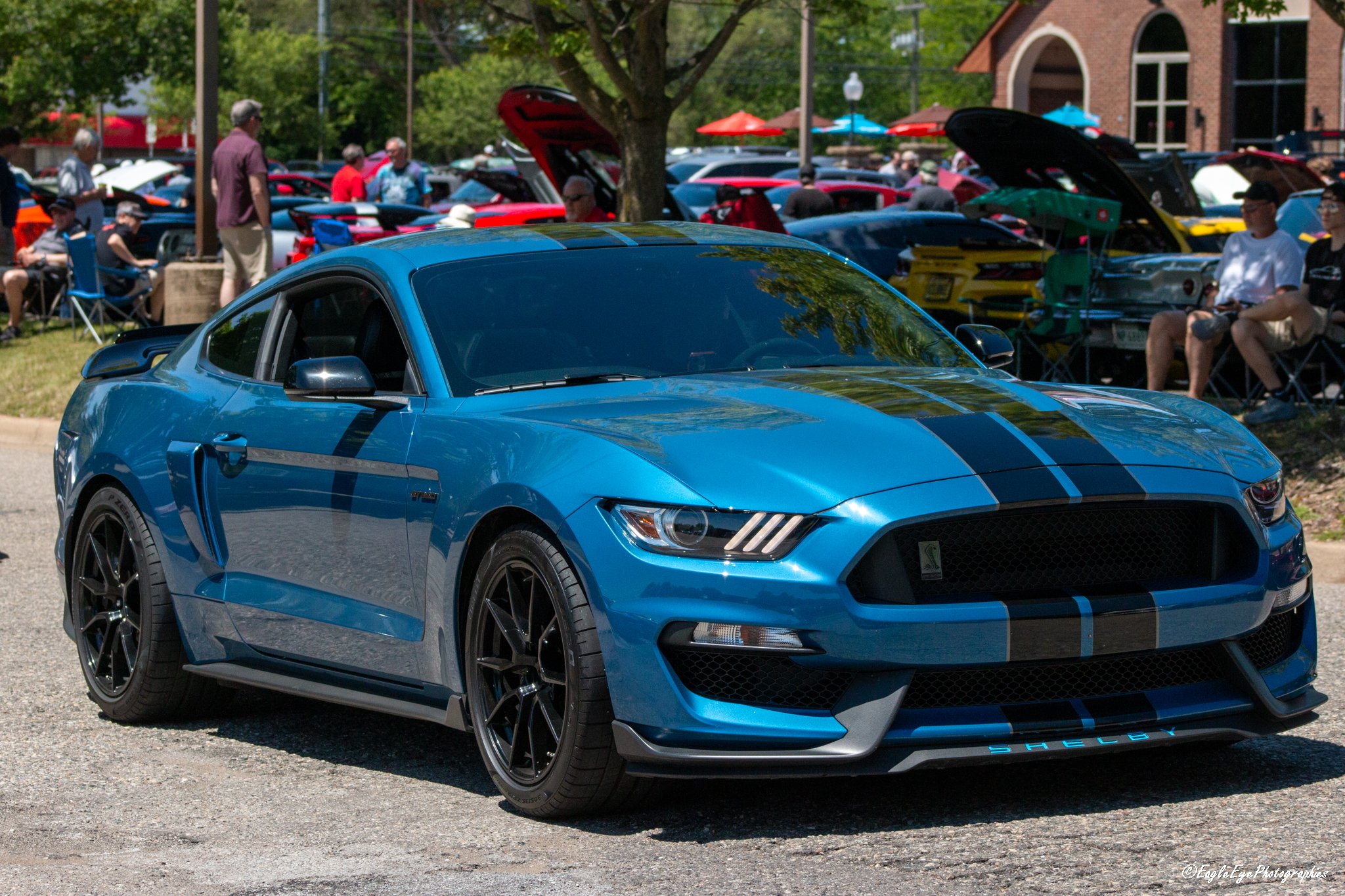 Blue Ford Mustang Shelby with black racing stripes at a car show, with various cars and people in the background under trees.