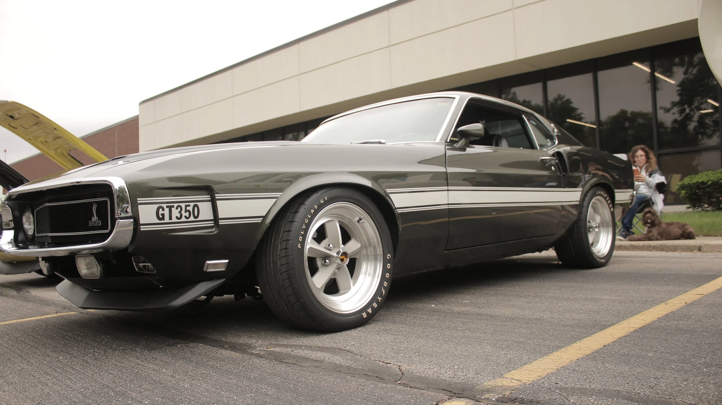 A classic black Shelby GT350 Mustang car on display outdoors in front of a modern building with large glass windows. The car has racing stripes, custom wheels, and a front grille with the Shelby logo. The hood is open, revealing part of the engine. A
