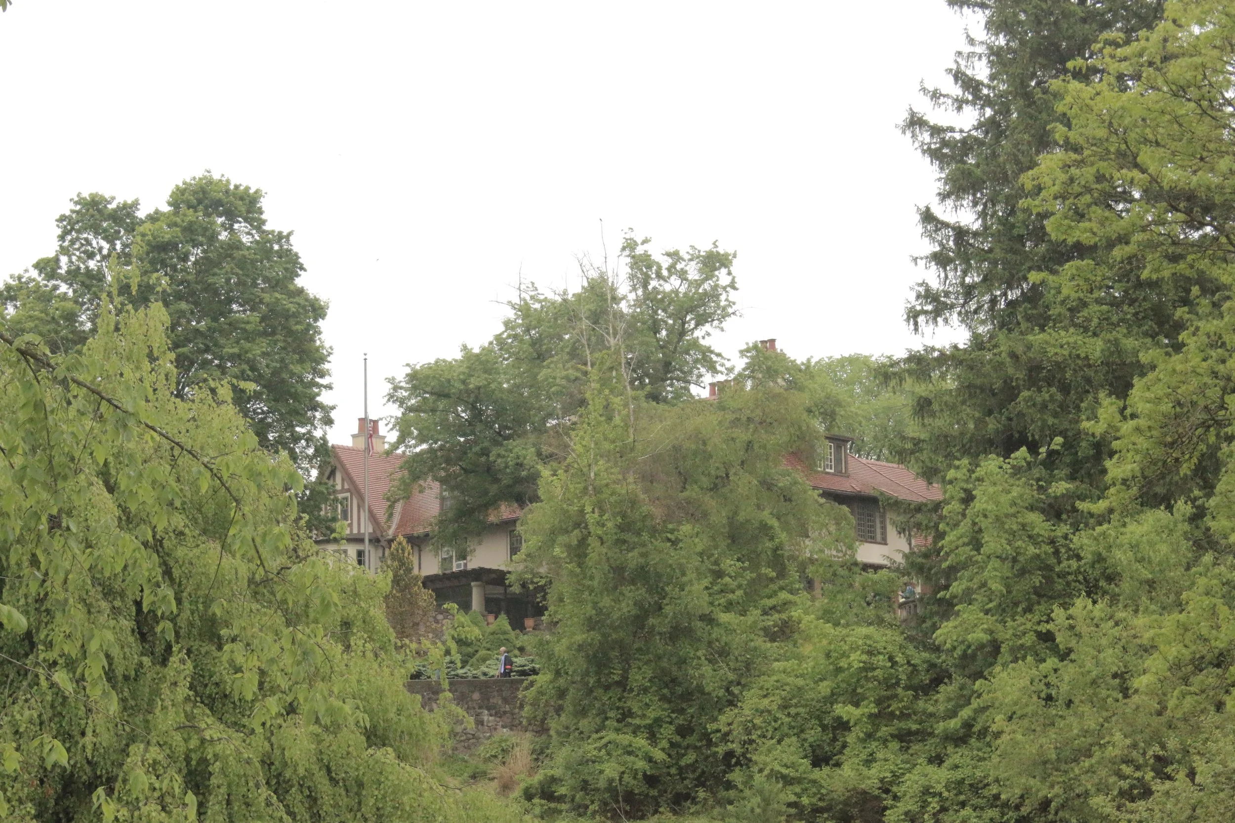 A view of a neighborhood with houses visible through dense green trees on a cloudy day.