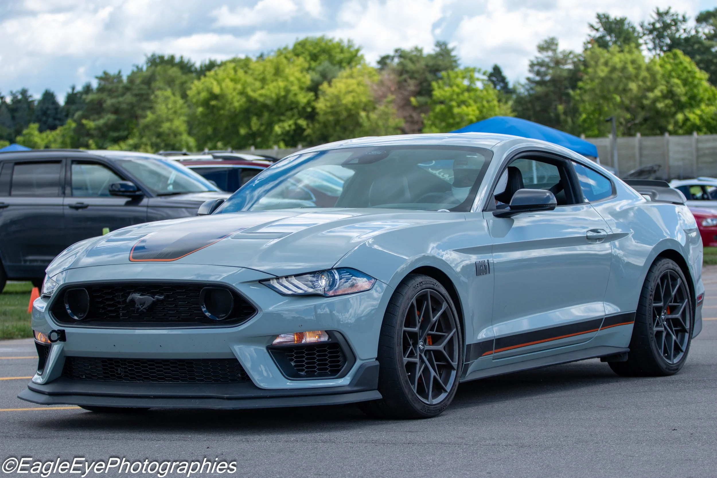 A silver Ford Mustang sports car with black and orange racing stripes parked on a paved lot, surrounded by other vehicles and green trees under a partly cloudy sky.