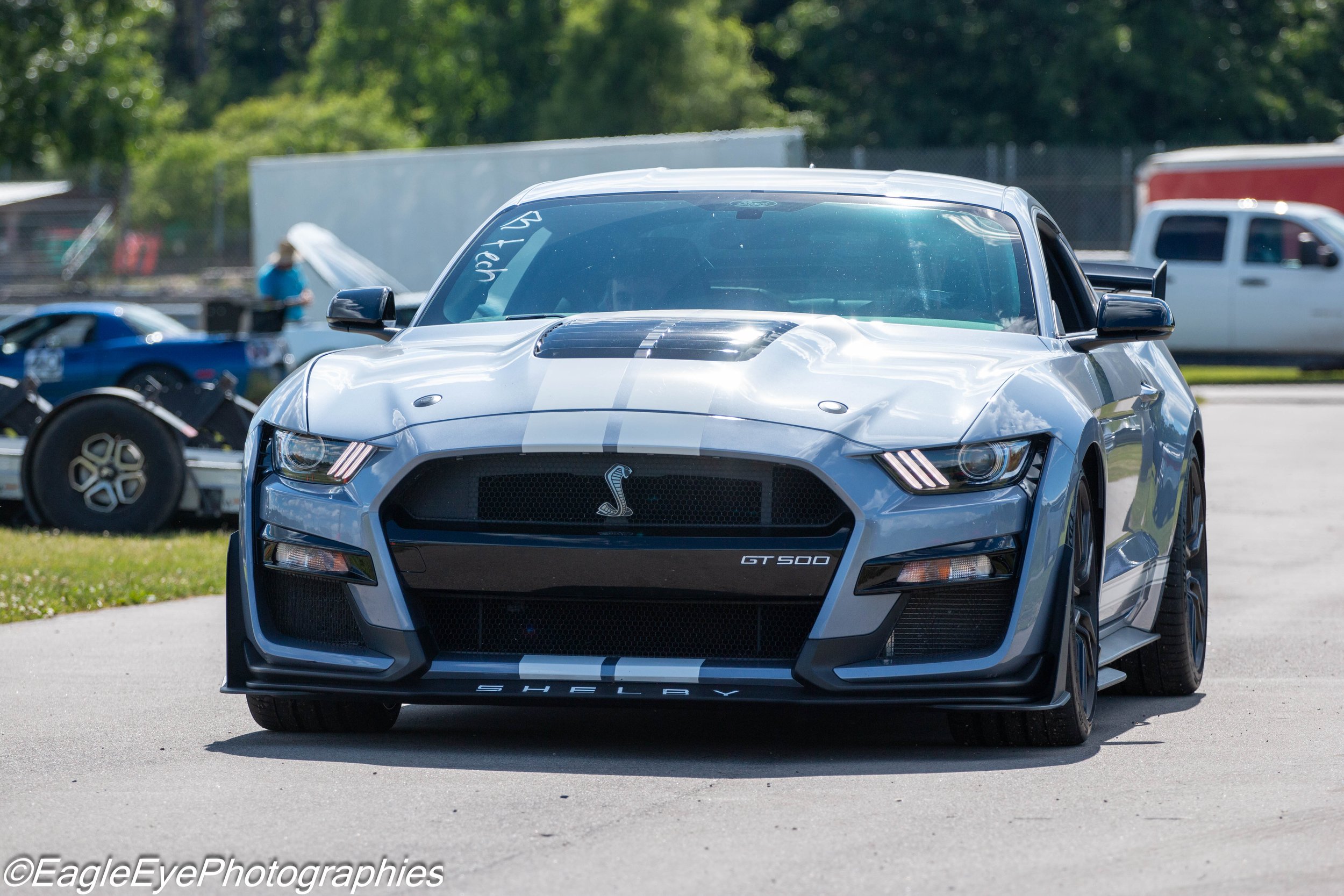 A silver Shelby GT500 sports car parked outdoors with trees in the background. The car has black racing stripes and a Shelby emblem on the front grille. There are other vehicles and a person in the background.