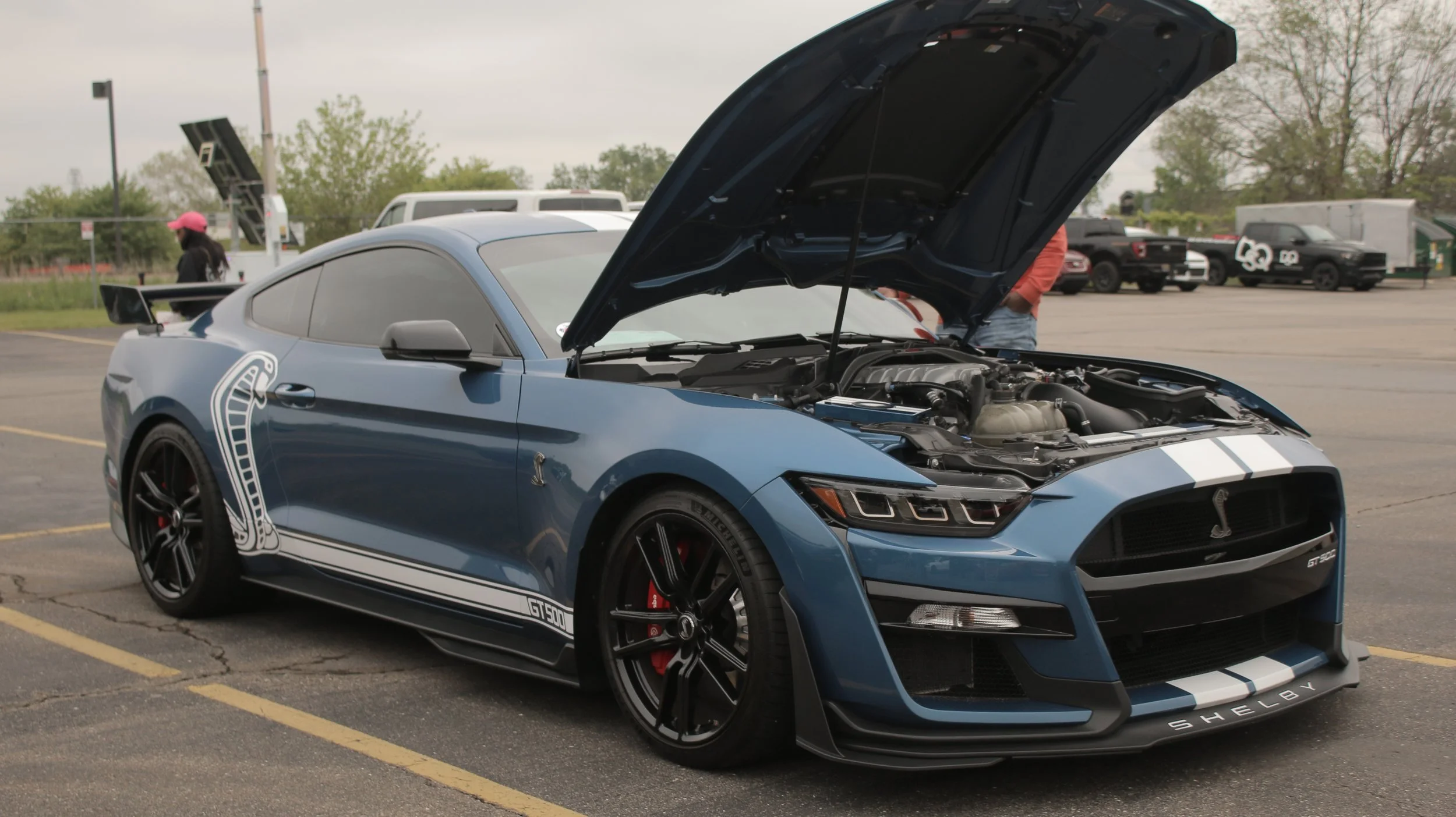 A blue Ford Mustang Shelby GT500 with racing stripes and a cobra logo on the side, parked in a lot with its hood open, showing the engine, at an outdoor car event.