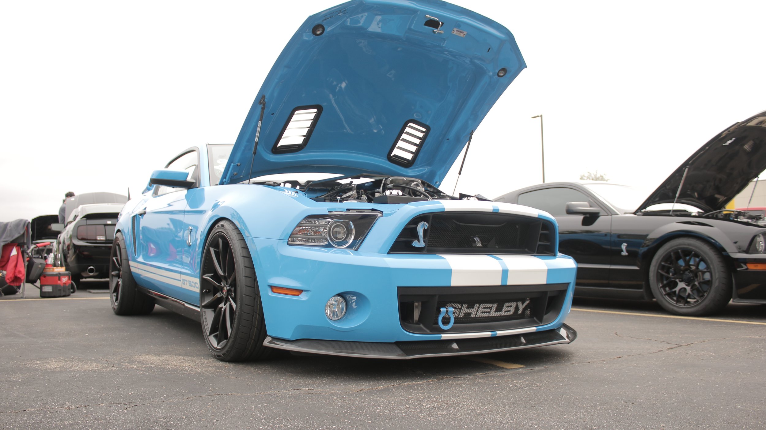 Light blue Shelby GT500 sports car with its hood open, exposing the engine, parked at a car show alongside other vehicles, including a black car with its hood open in the background.