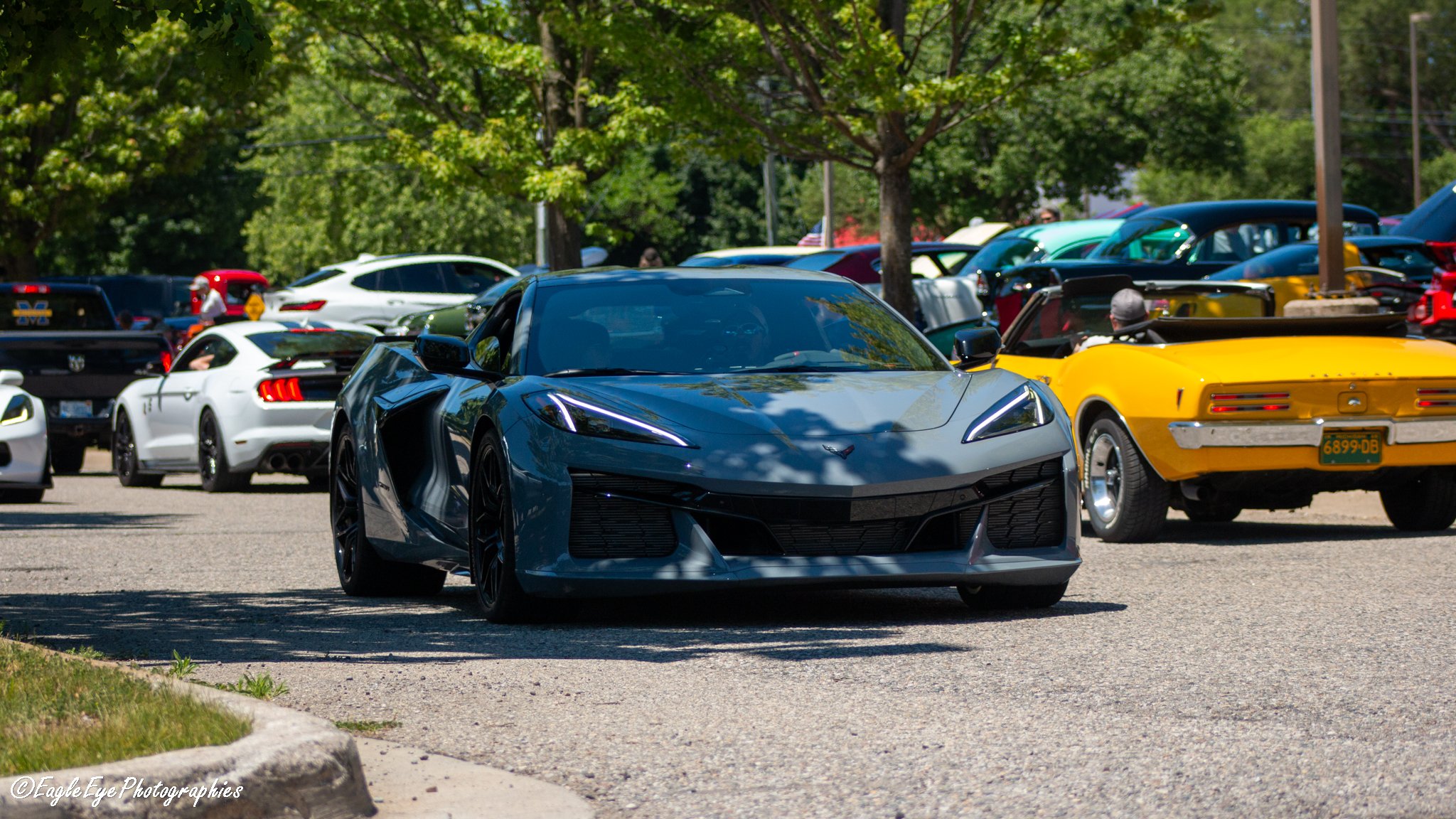 A sleek, gray sports car parked among other colorful vehicles in a tree-shaded outdoor lot on a sunny day.