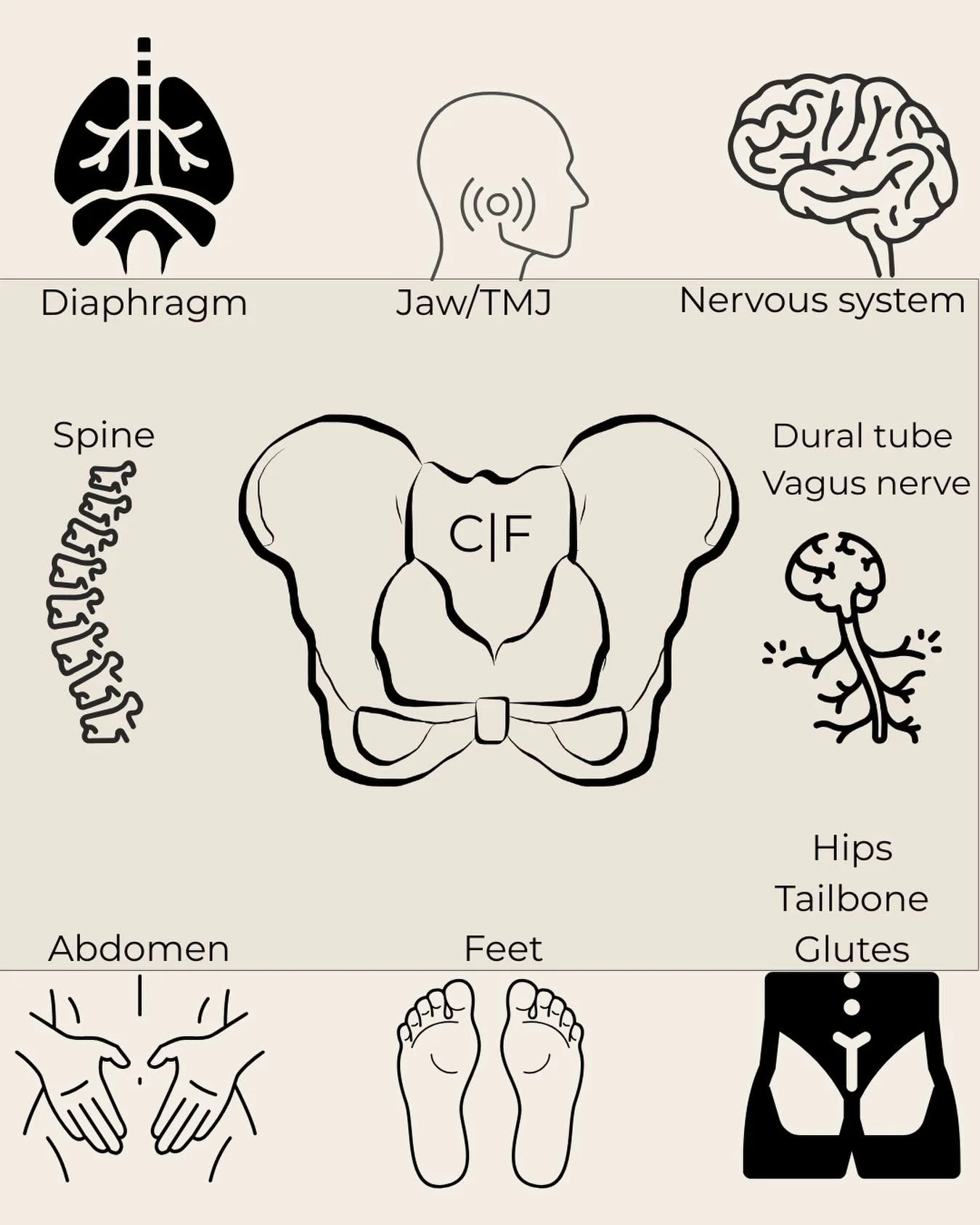 My logo is a pelvis, but pelvic health is about so much more. 

It&rsquo;s about how you breathe, move, lift, rest, and connect with your body every single day.

It&rsquo;s your core.
Your nervous system.
Your stress levels.
Your bowel and bladder ha