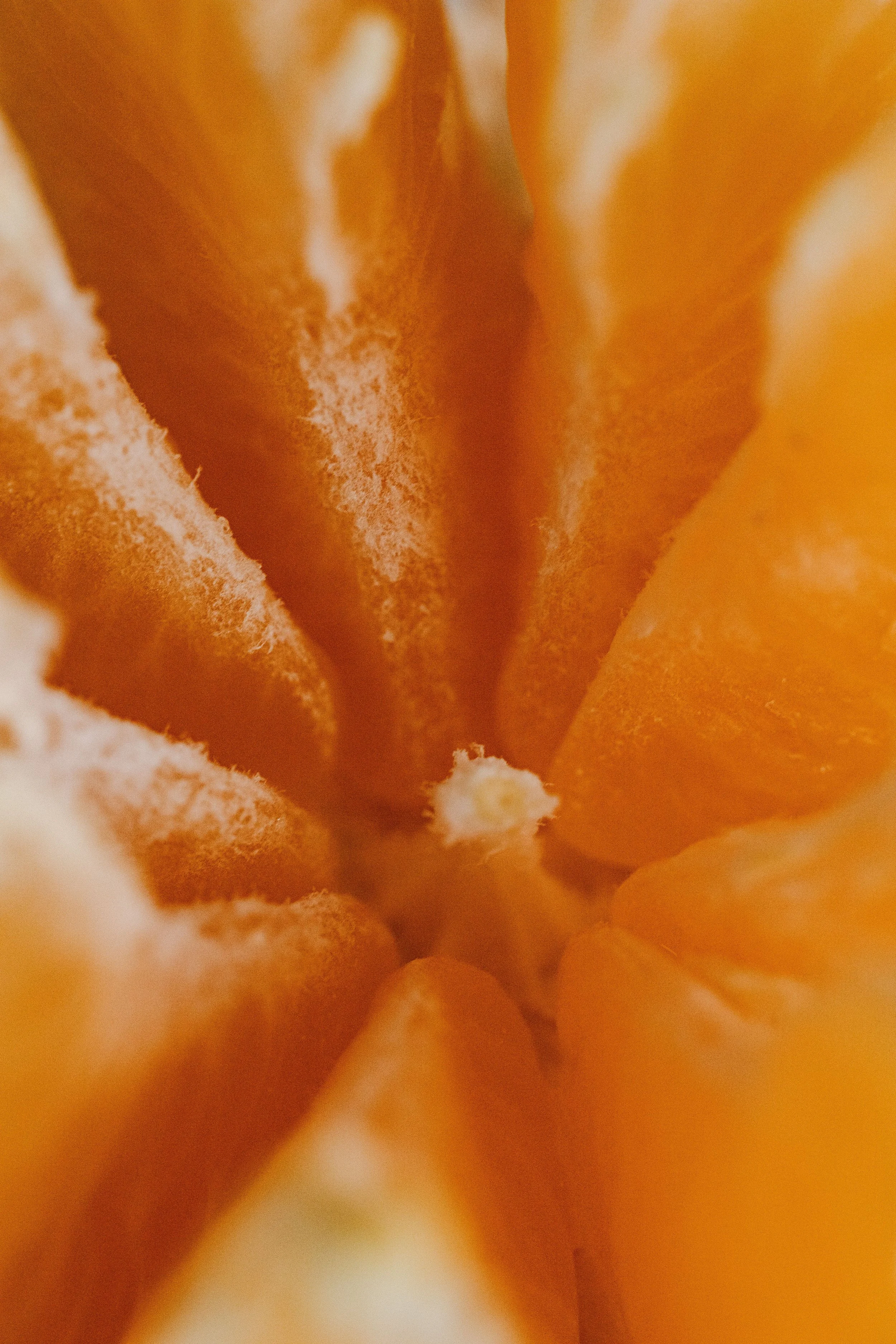 What Actually Happens to Your Body When You Skip Breakfast — The Science Is More Nuanced Than You Think