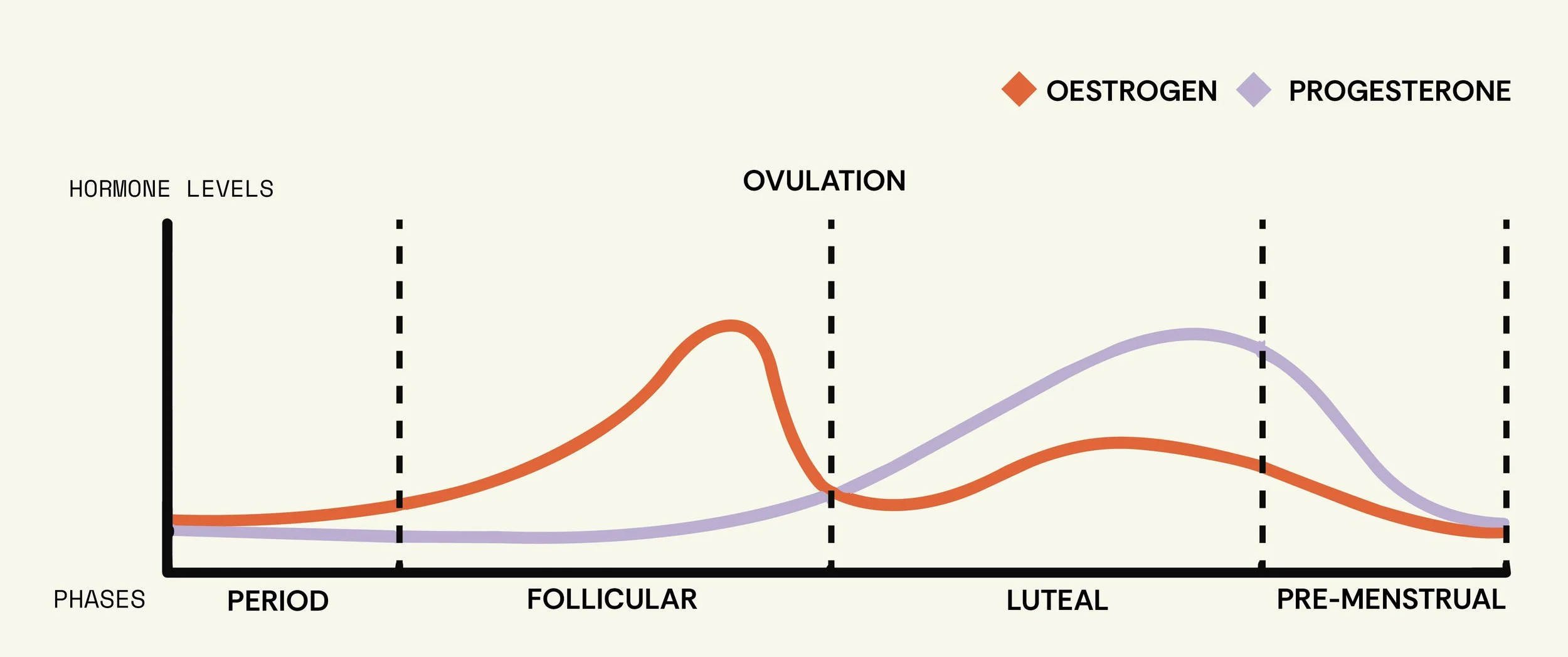 Graph showing estrogen and progesterone hormone levels across the four phases of the menstrual cycle — period, follicular, luteal, and pre-menstrual — with ovulation marked at the midpoint.