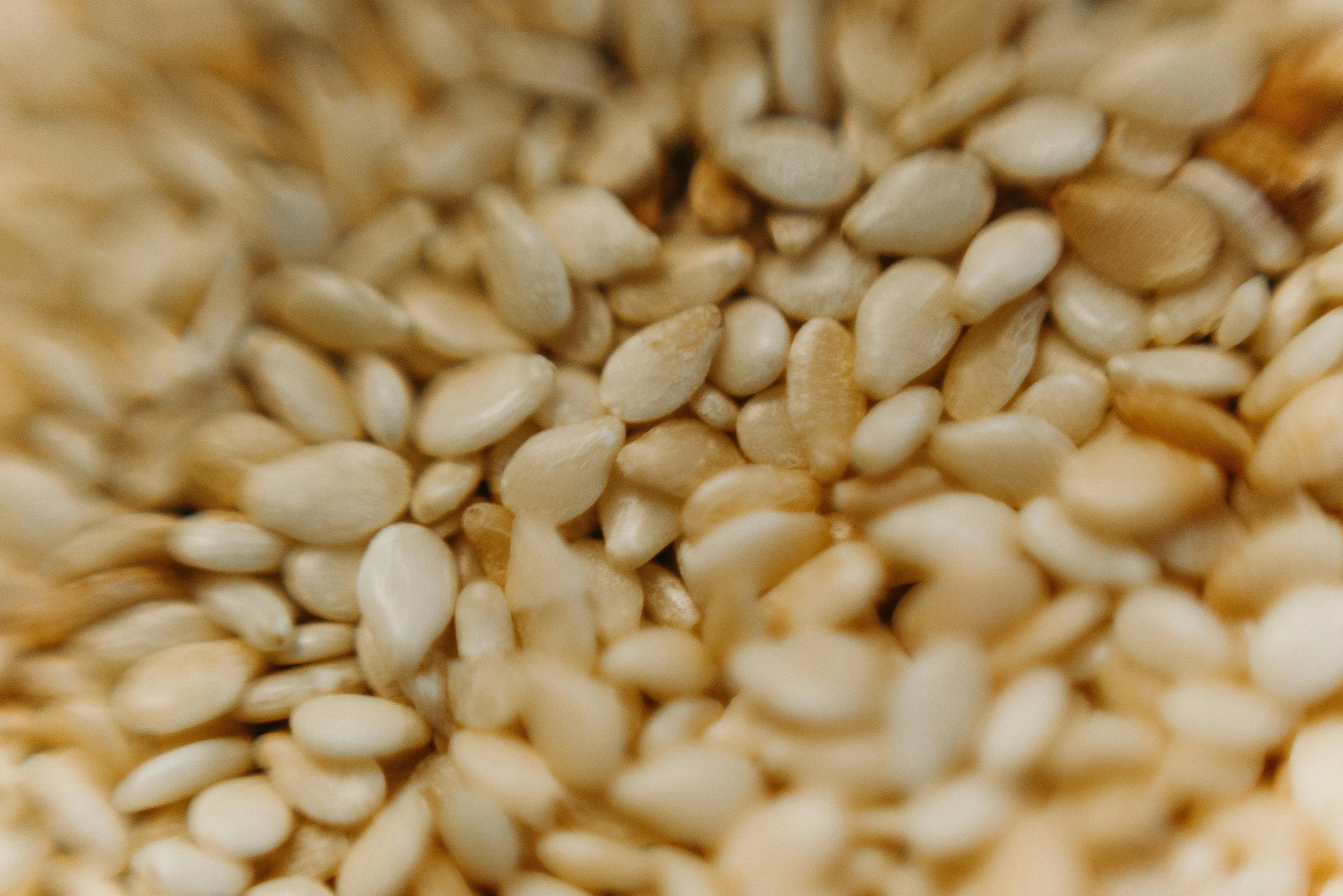 Close-up of sesame seeds — a key ingredient in CENTRD REST luteal phase seed cycling blend