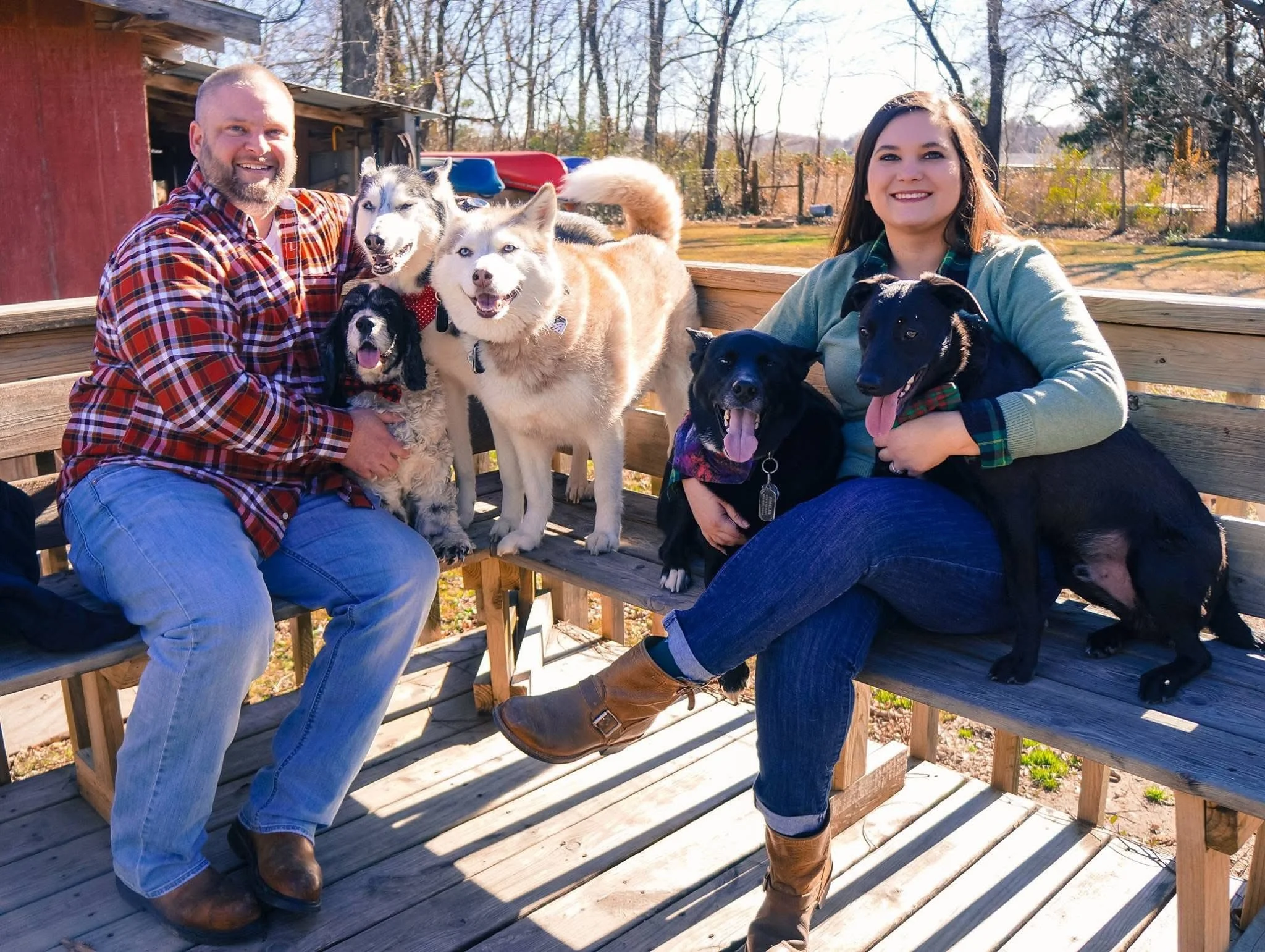 Matt and Alexis Harper are sitting on a wooden bench outdoors, surrounded by their original pack of five dogs, with trees and a fenced yard in the background.