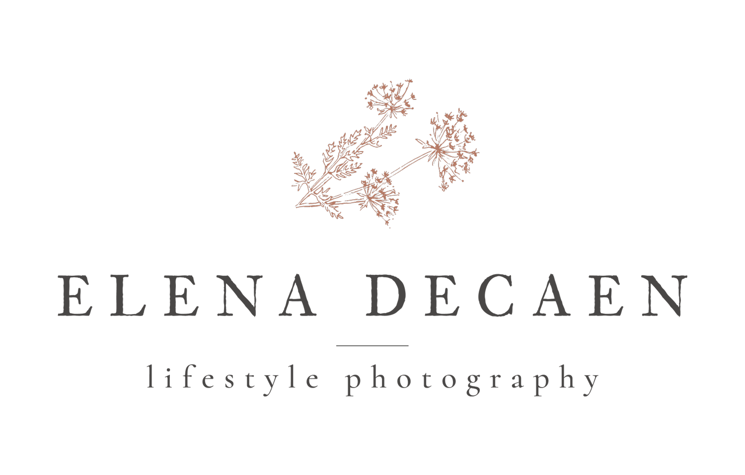 Elena Decaen Photographe &mdash; Grossesse, naissance &amp; famille près de Lille et Tournai