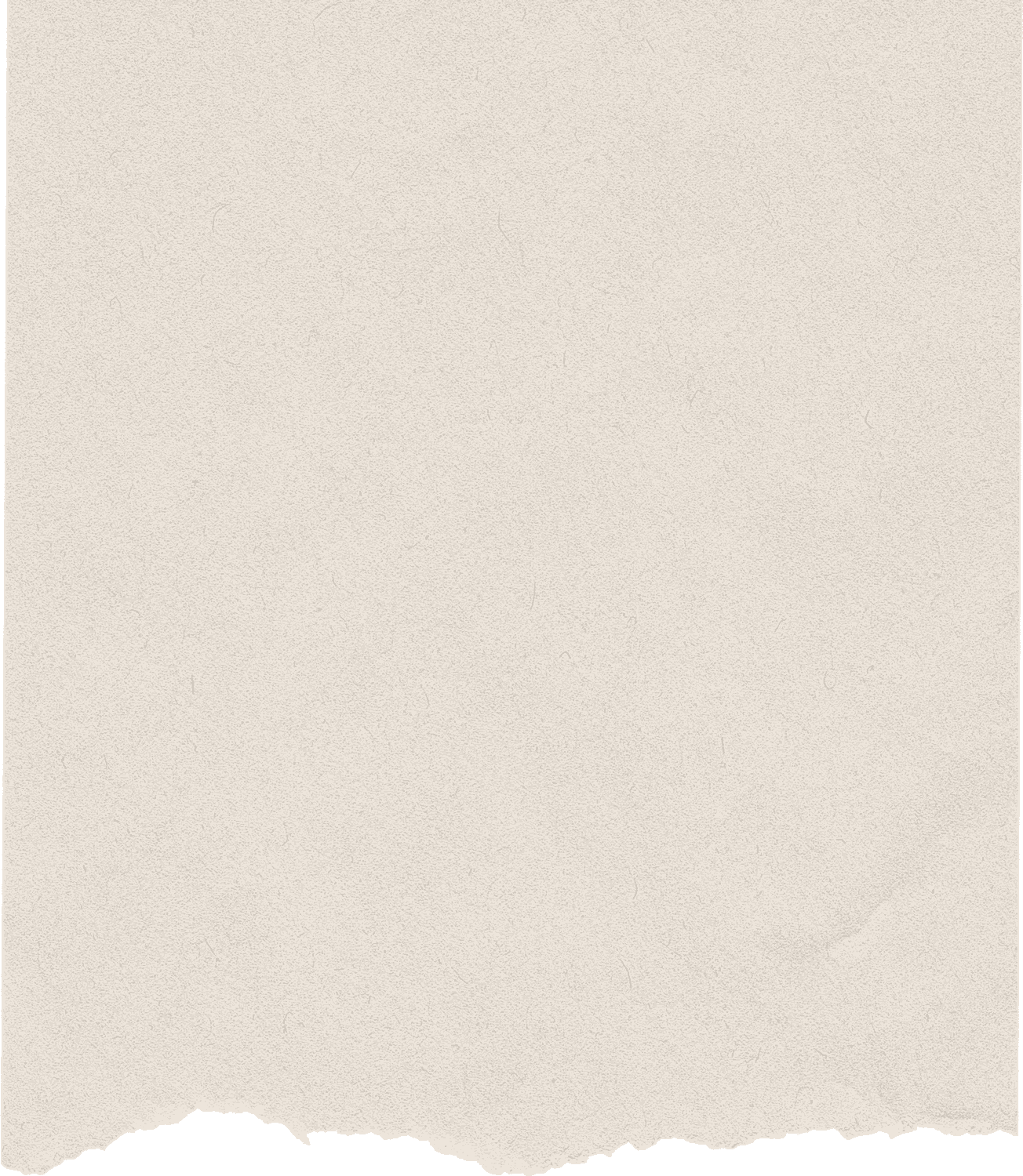 A torn piece of beige or off-white paper with jagged edges at the bottom.
