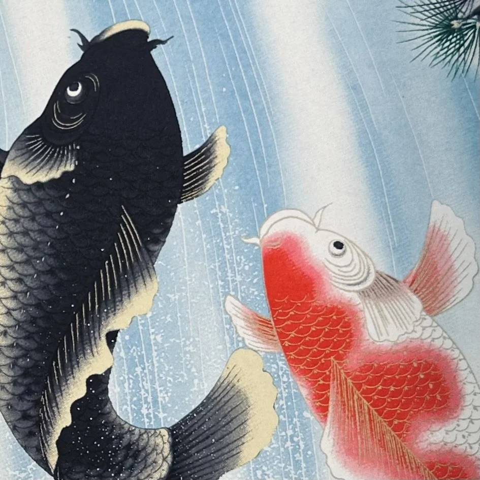 Two colorful koi fish swimming in water, one black and gold, and the other red and white, with water droplet effects in the background.