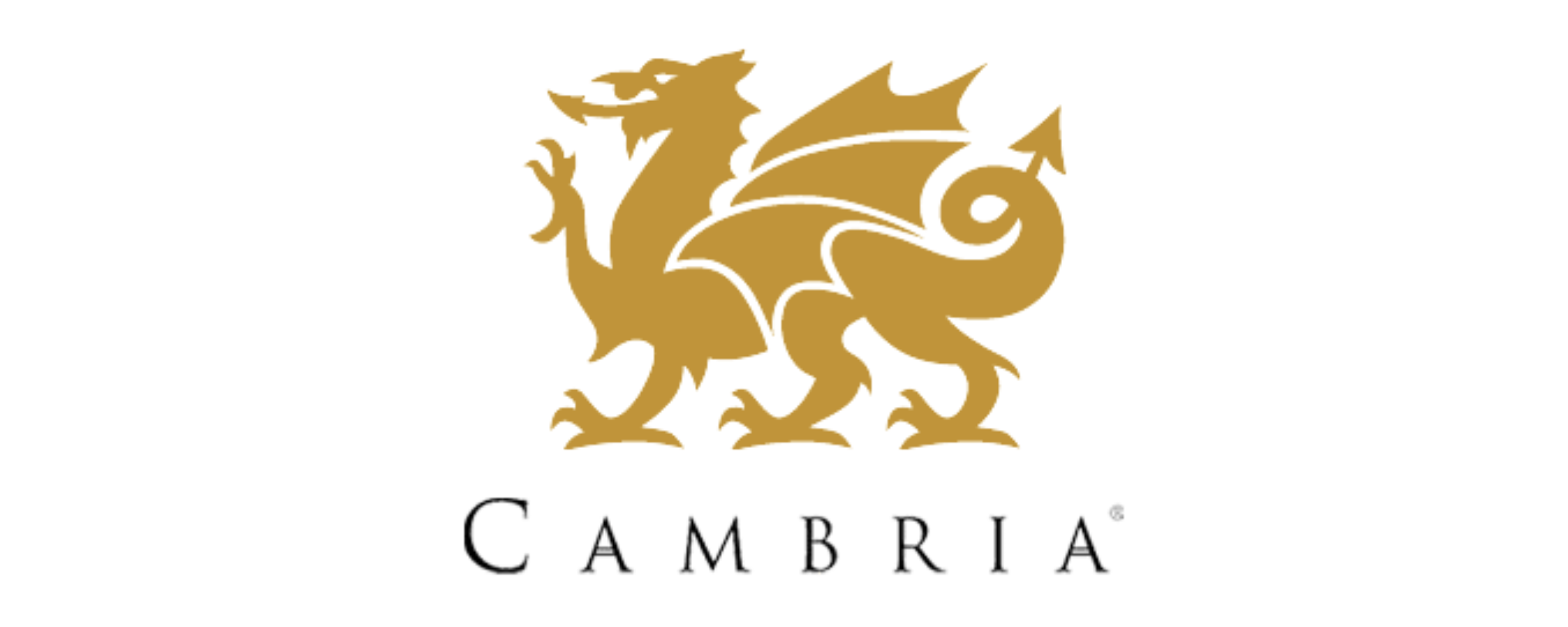 Gold dragon logo above the text "Cambria"